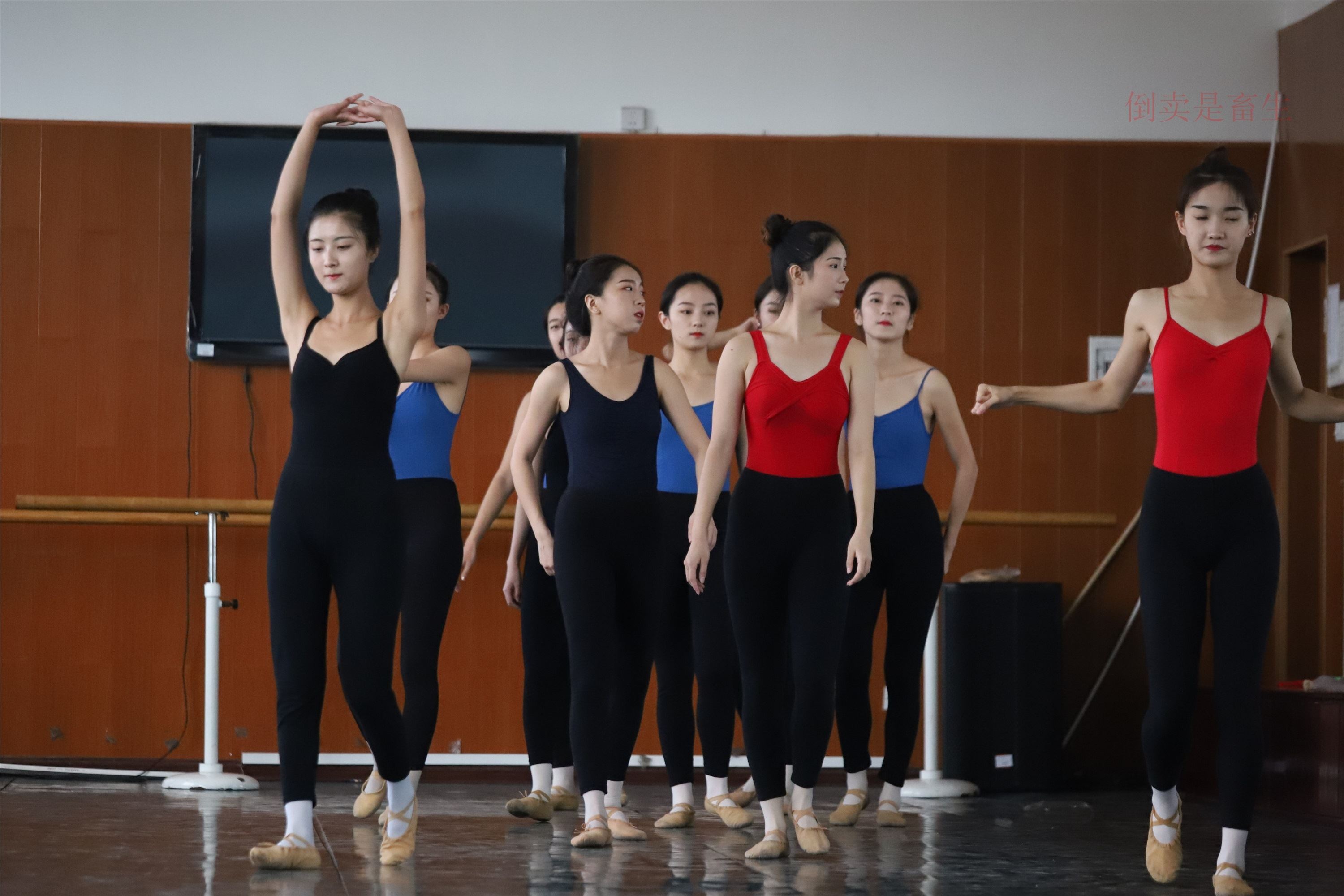 大西瓜美女图片 W003 舞蹈芭裤630p3