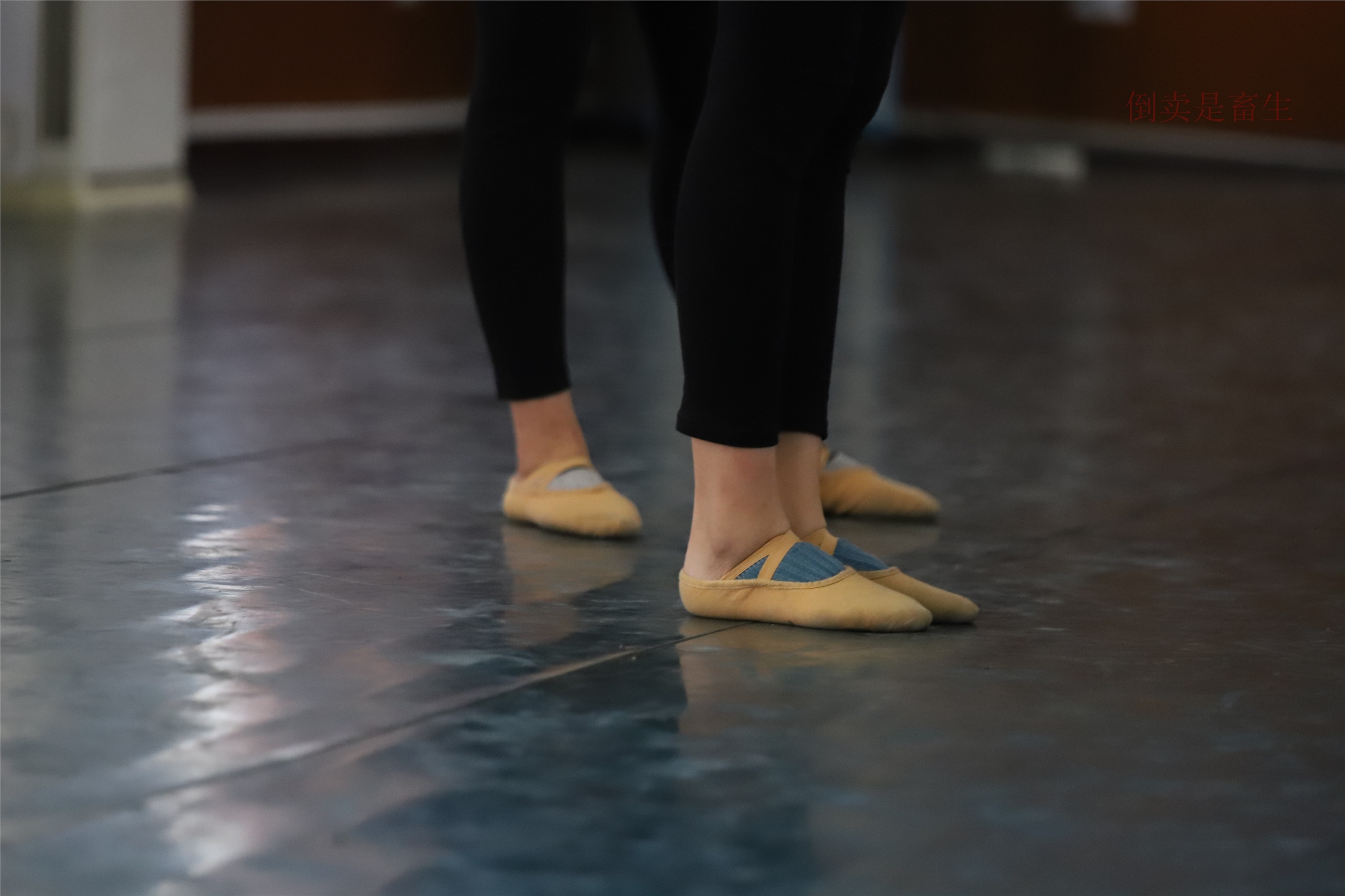 大西瓜美女图片 W003 舞蹈芭裤630p5