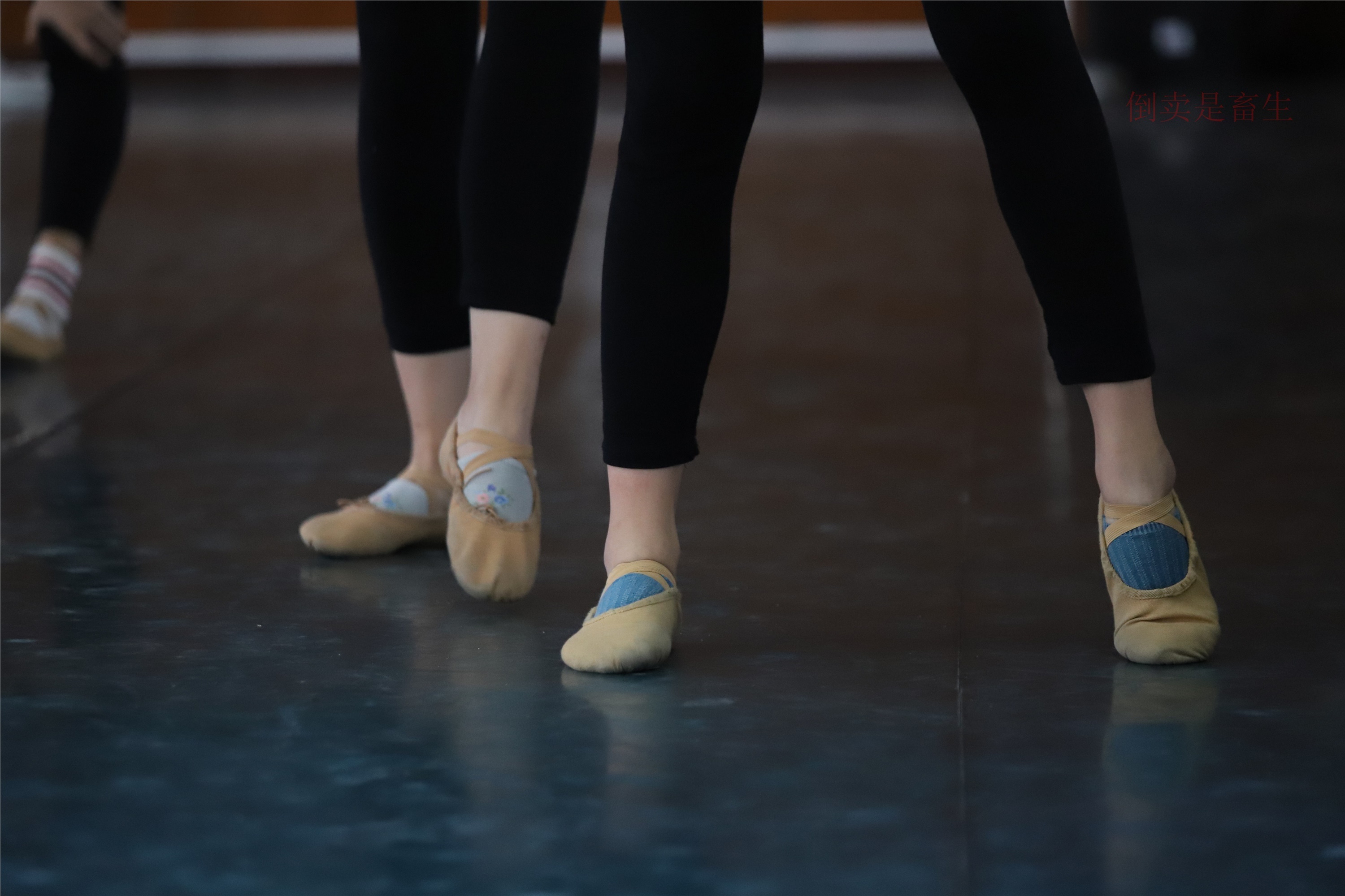 大西瓜美女图片 W003 舞蹈芭裤630p5