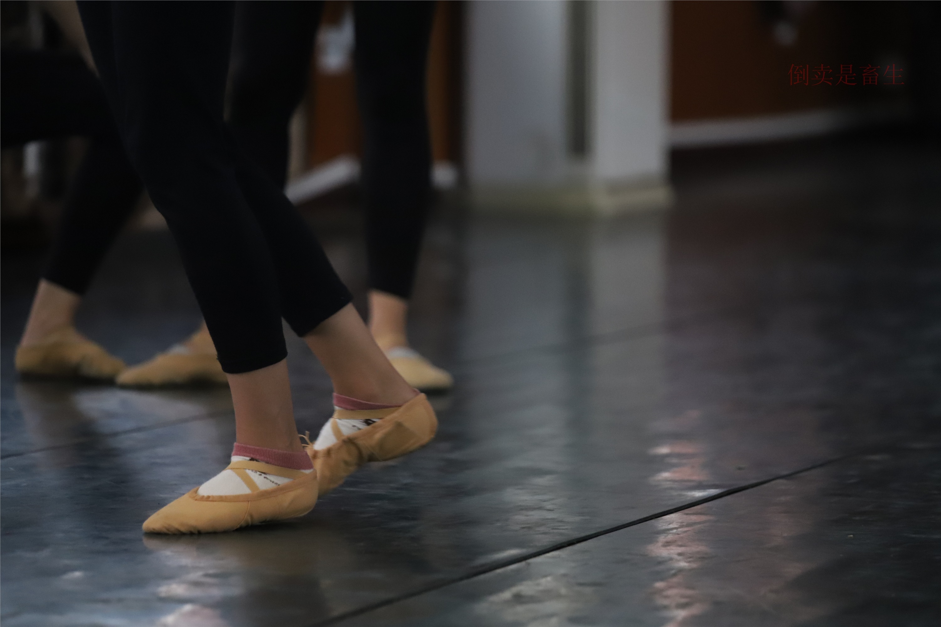 大西瓜美女图片 W003 舞蹈芭裤630p5