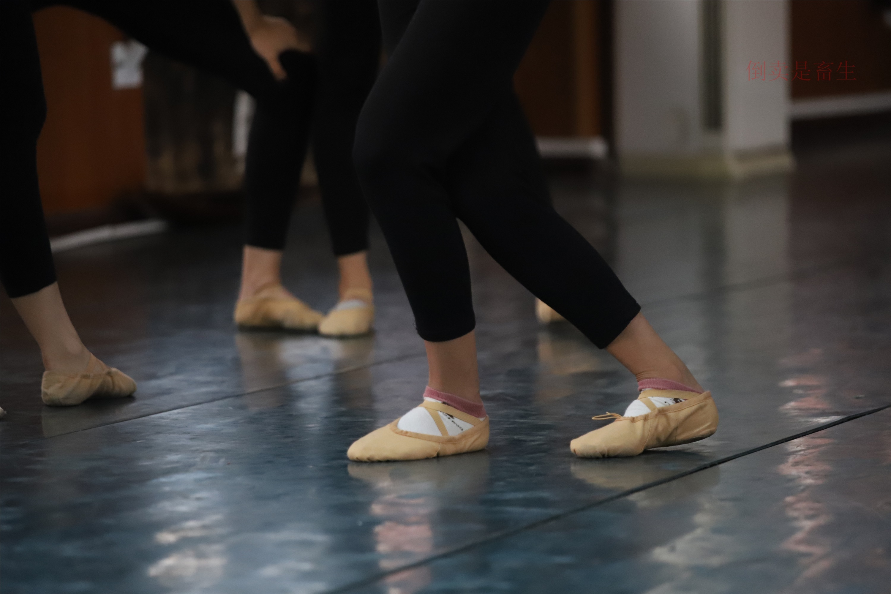 大西瓜美女图片 W003 舞蹈芭裤630p5