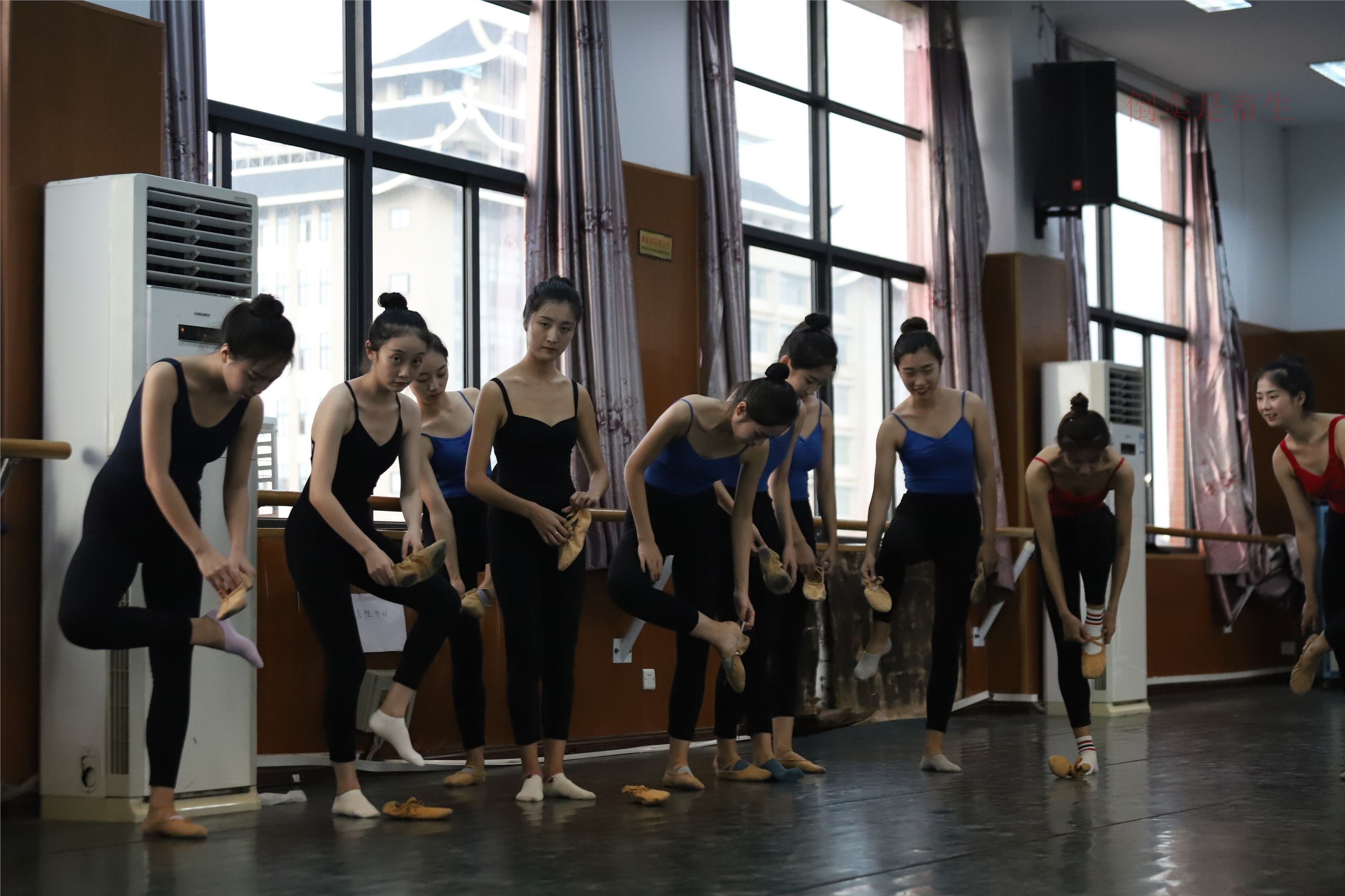 大西瓜美女图片 W003 舞蹈芭裤630p5