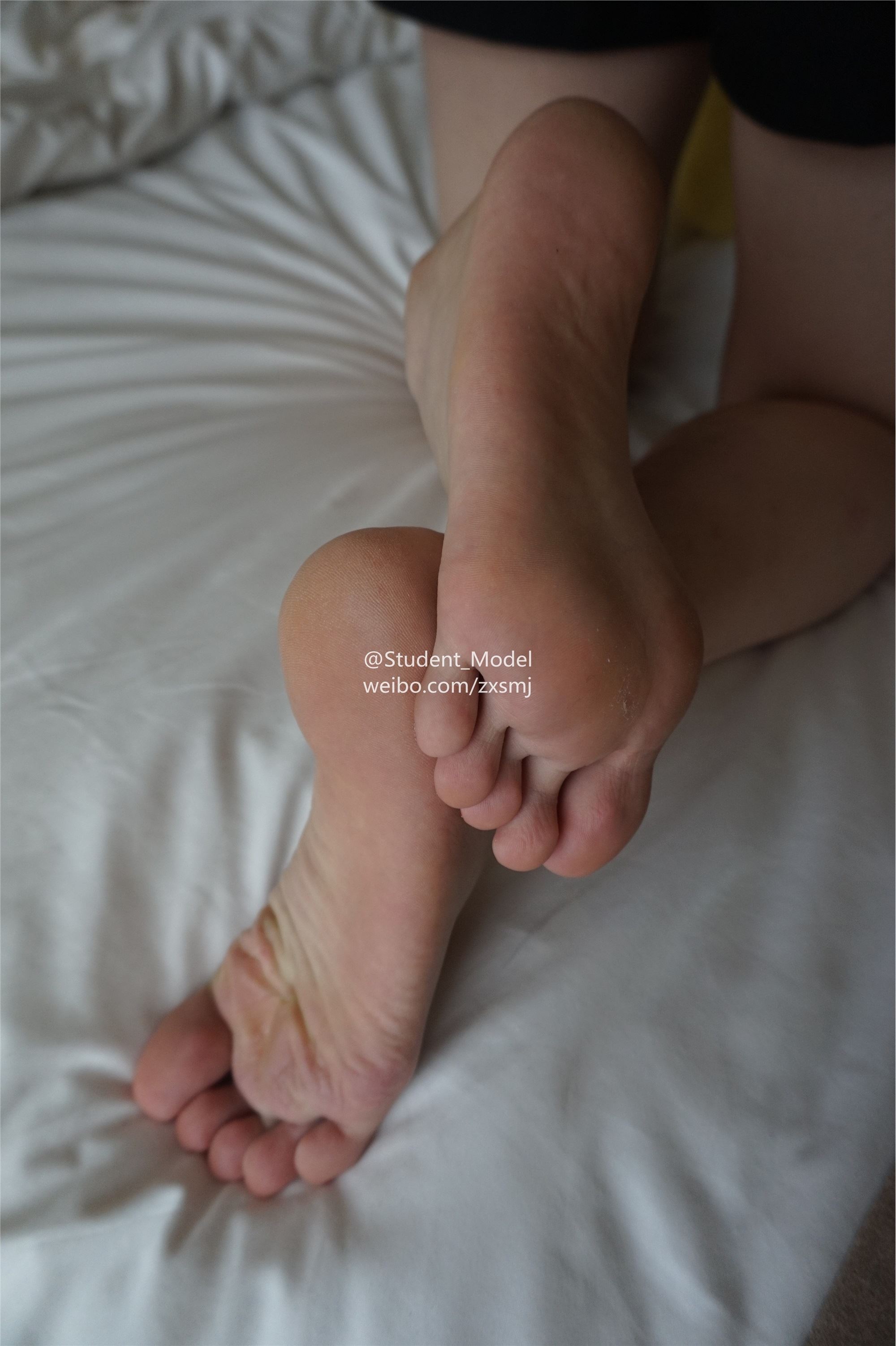 学生模特 套图 猫儿