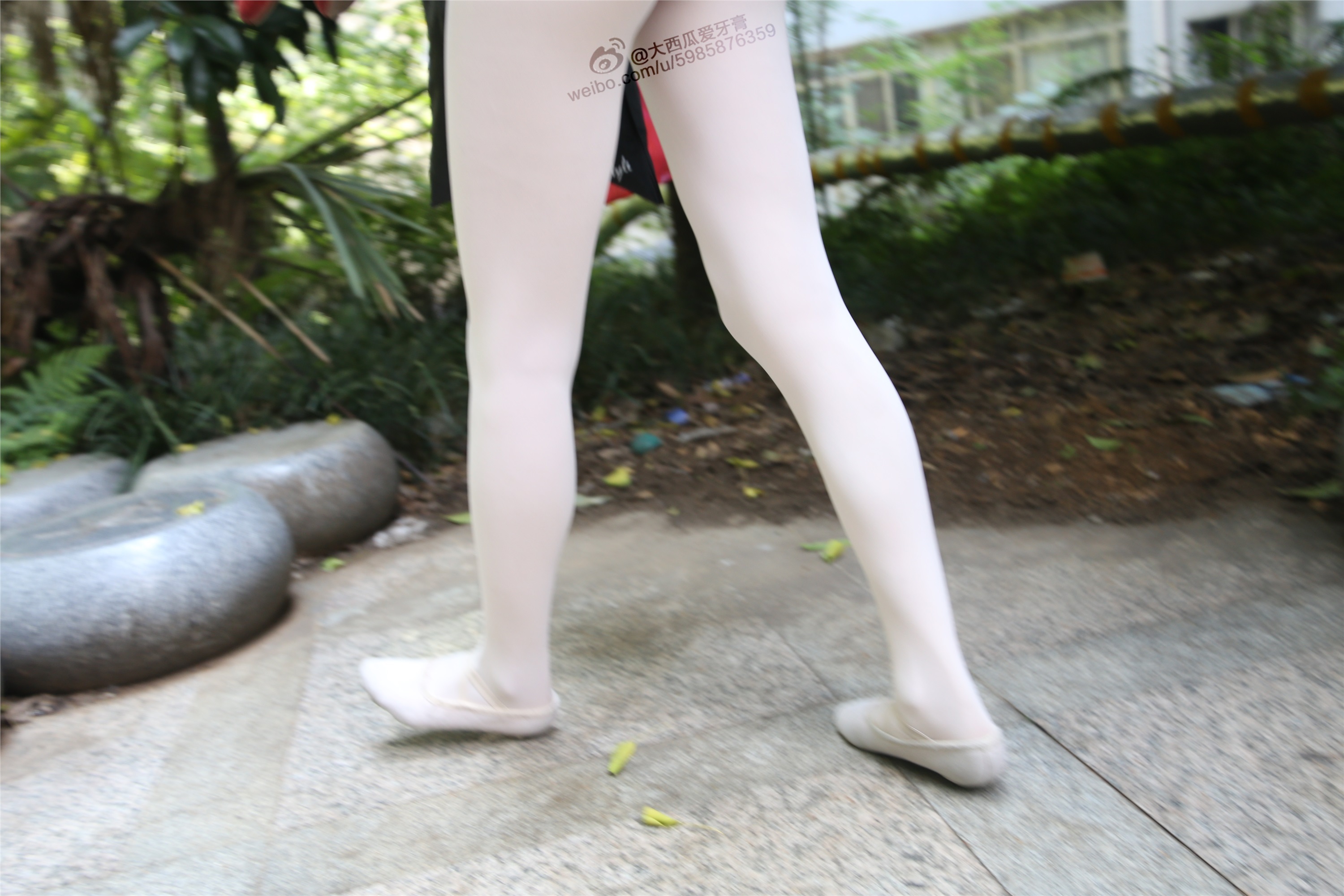 大西瓜美女图片 W010 舞蹈家2-身材极好21