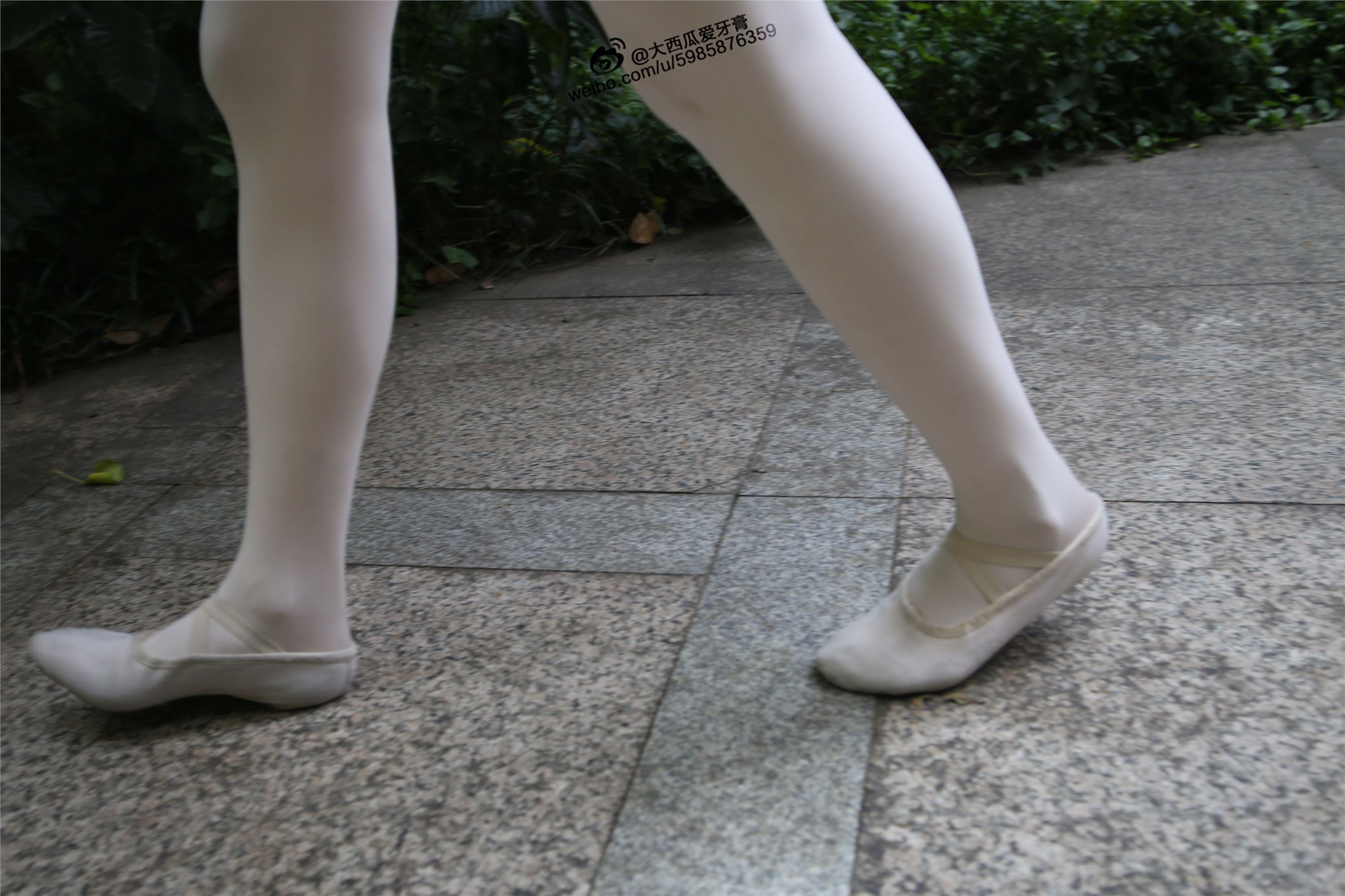 大西瓜美女图片 W010 舞蹈家2-身材极好21