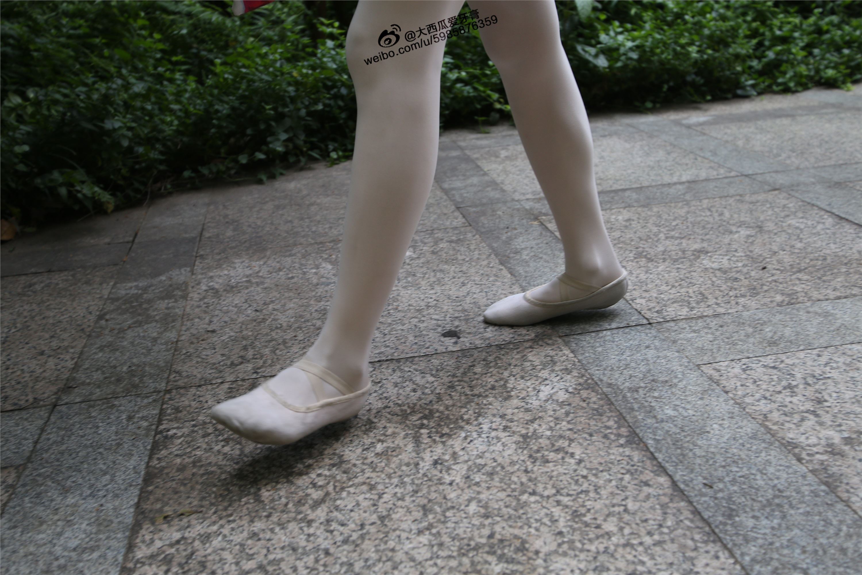 大西瓜美女图片 W010 舞蹈家2-身材极好21