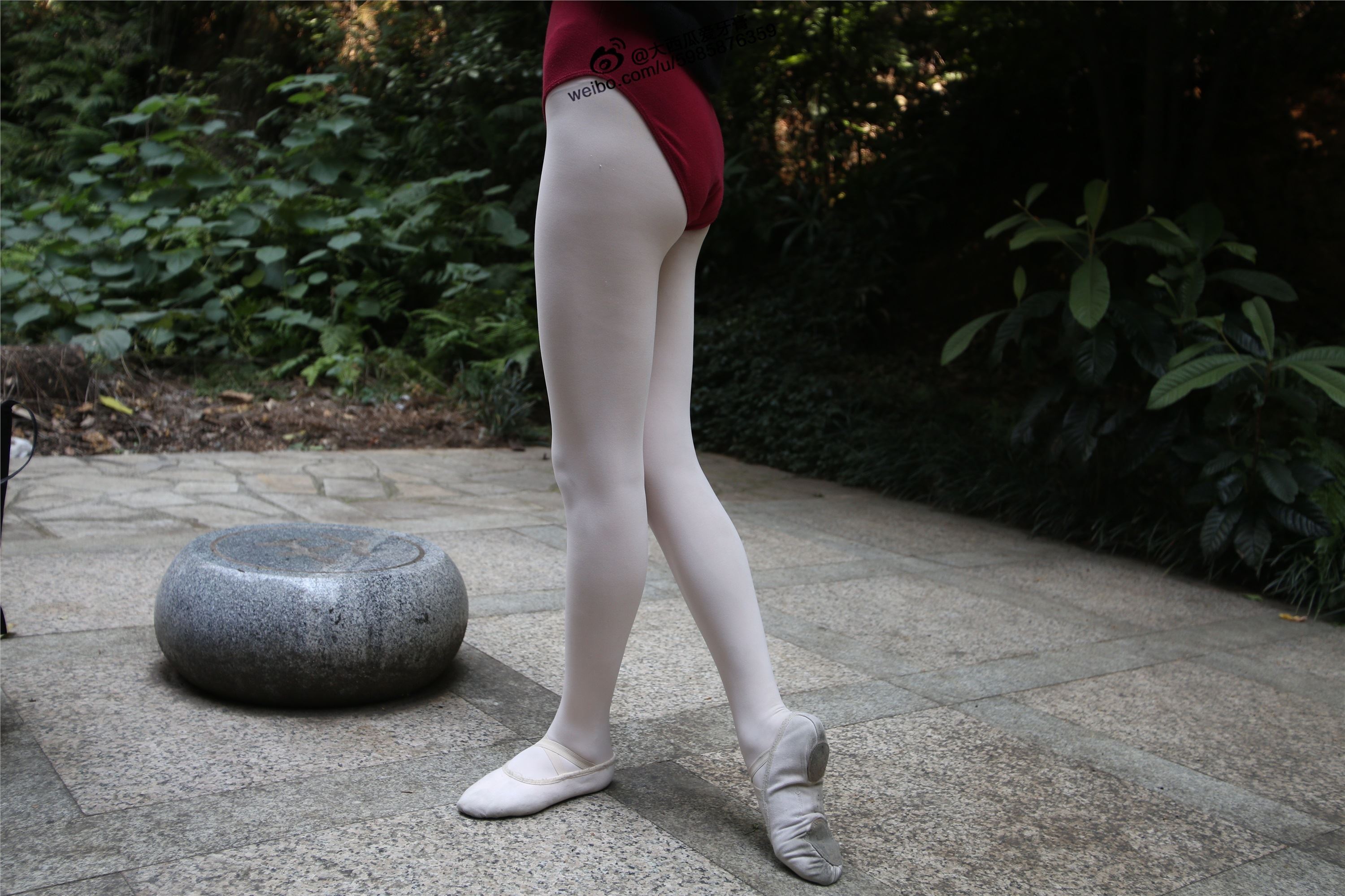 大西瓜美女图片 W010 舞蹈家2-身材极好21