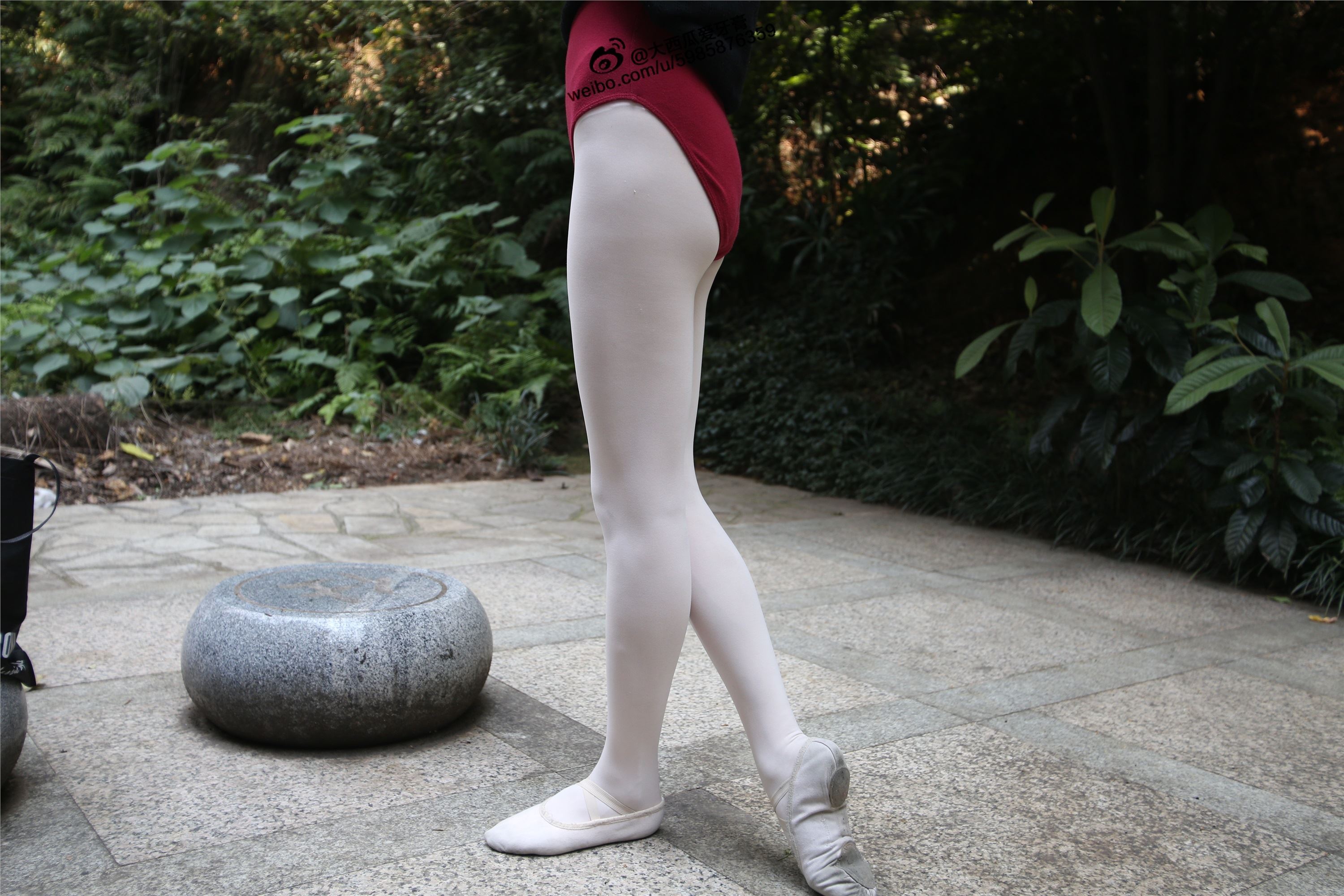 大西瓜美女图片 W010 舞蹈家2-身材极好21