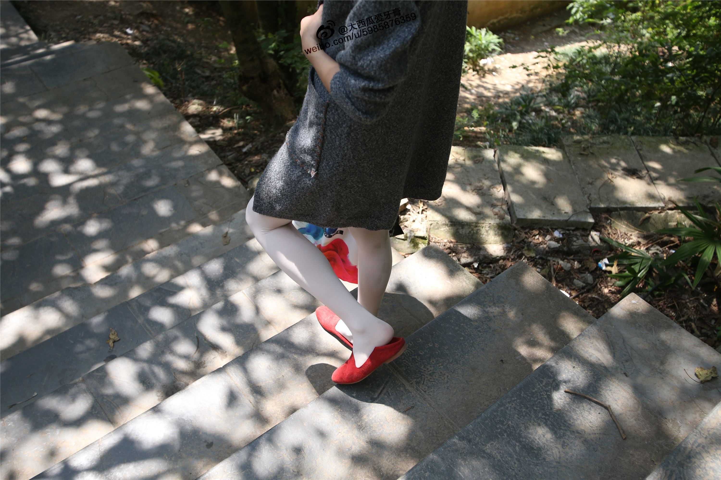 大西瓜美女图片 W011 舞蹈家2-身材极好31