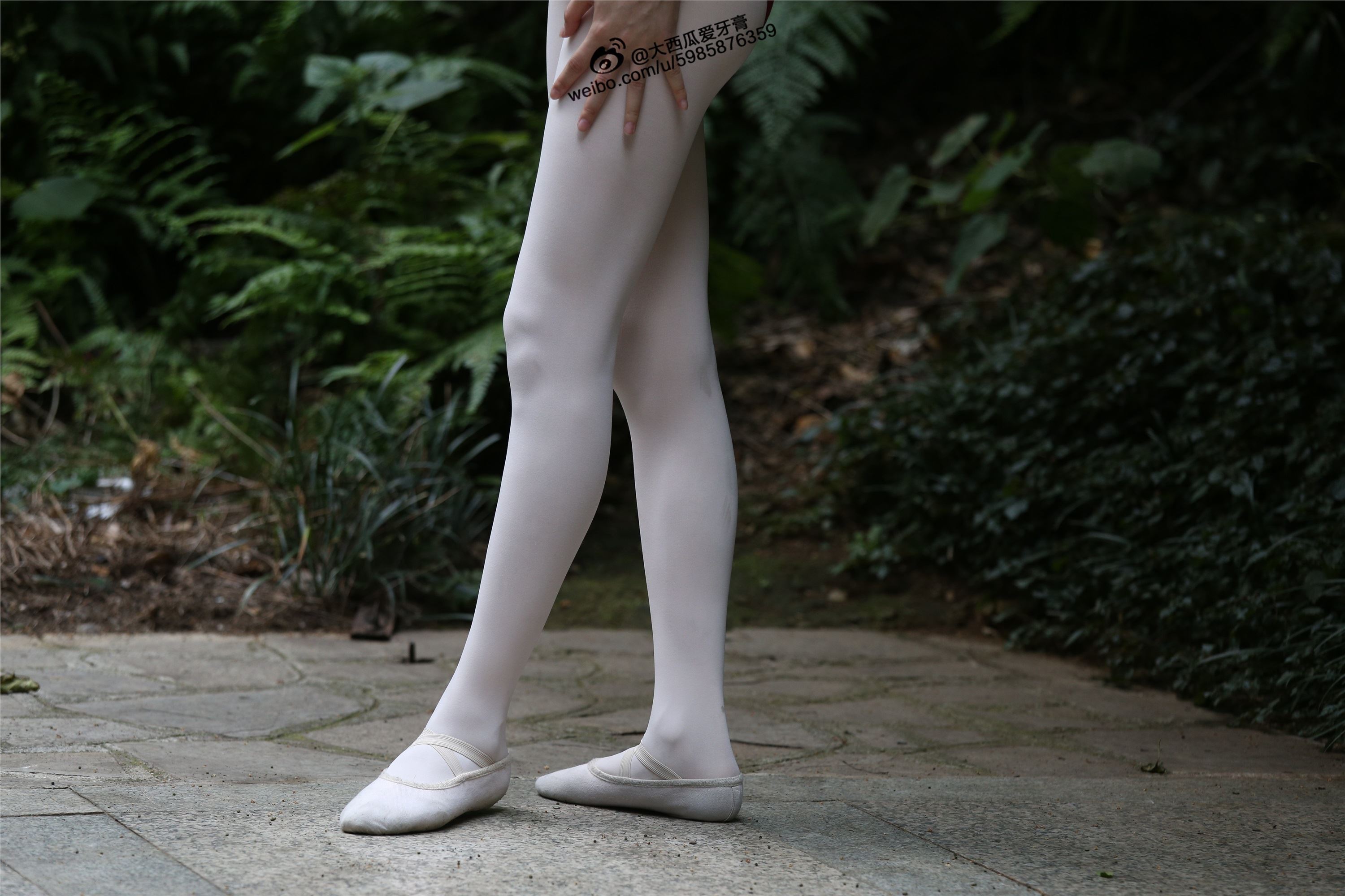 大西瓜美女图片 W011 舞蹈家2-身材极好31