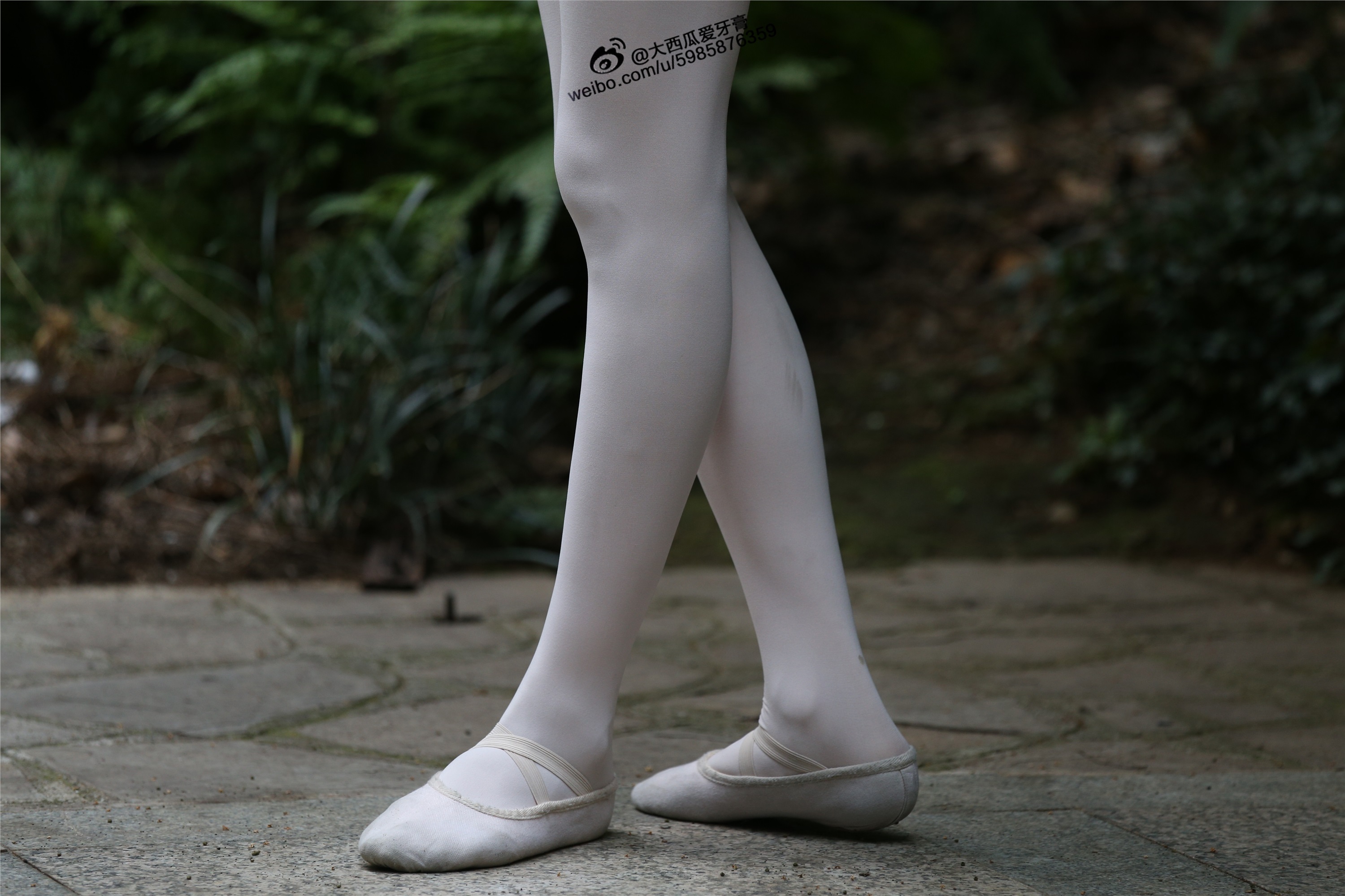 大西瓜美女图片 W011 舞蹈家2-身材极好31