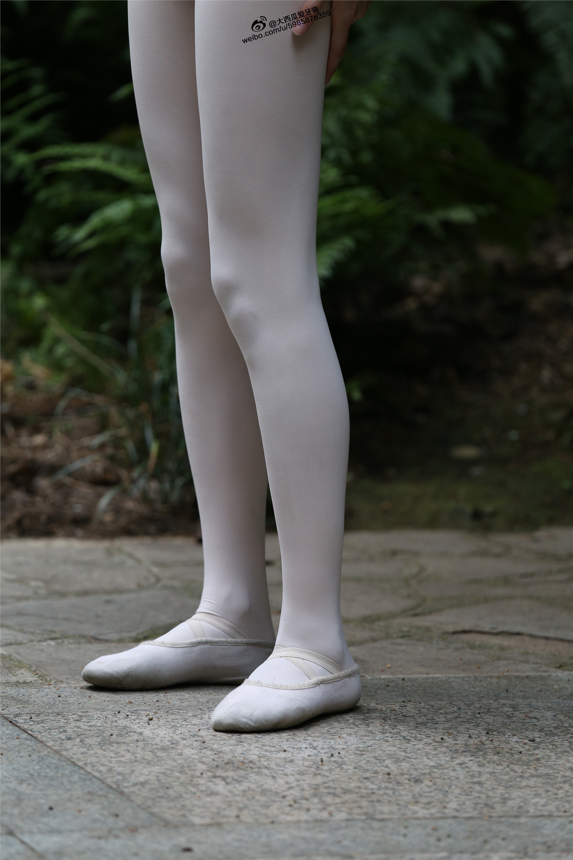 大西瓜美女图片 W011 舞蹈家2-身材极好31