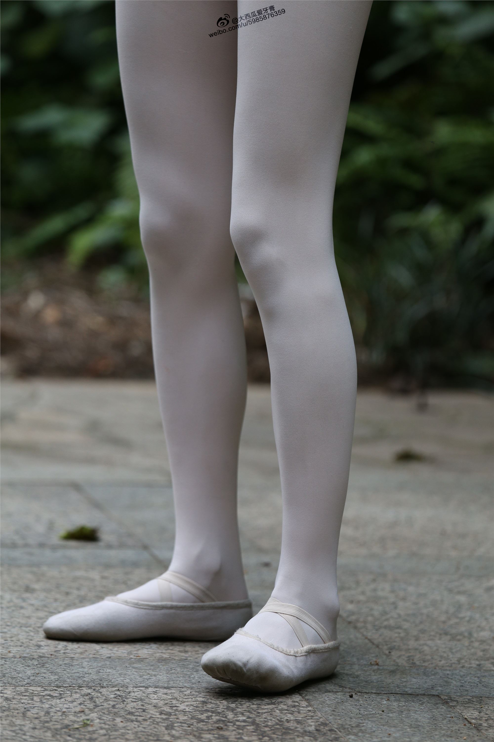 大西瓜美女图片 W011 舞蹈家2-身材极好31