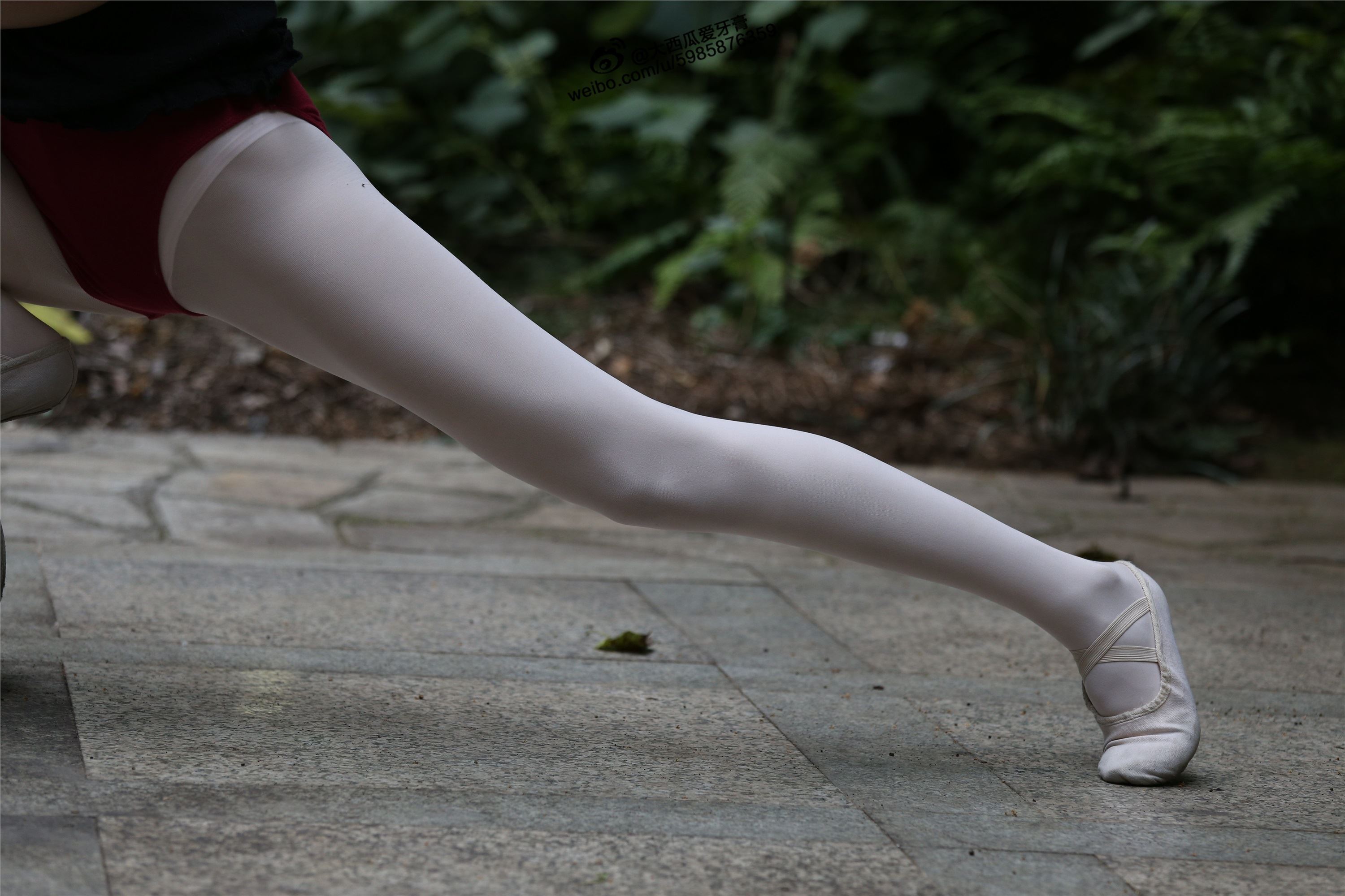 大西瓜美女图片 W011 舞蹈家2-身材极好31