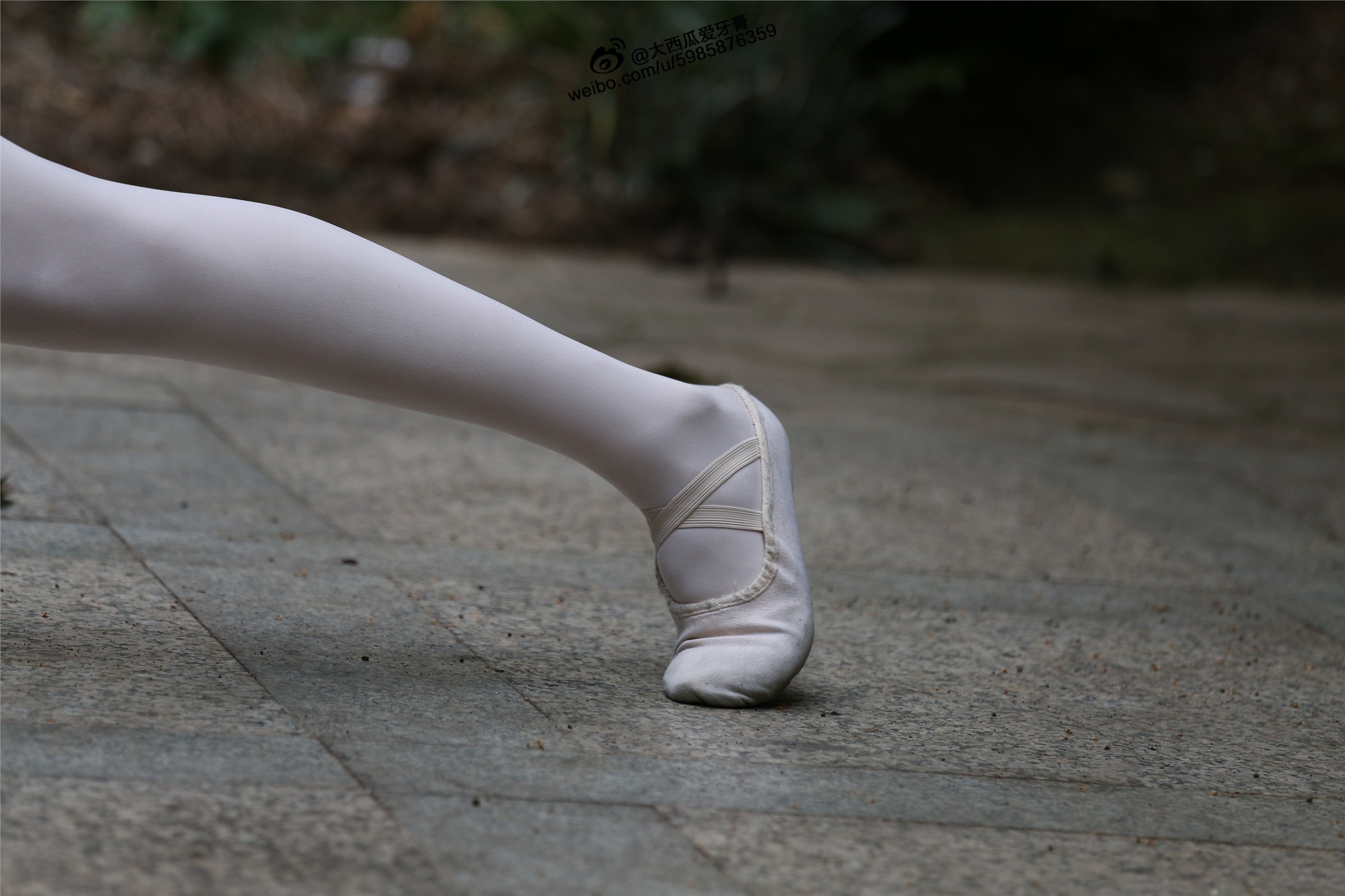 大西瓜美女图片 W011 舞蹈家2-身材极好31