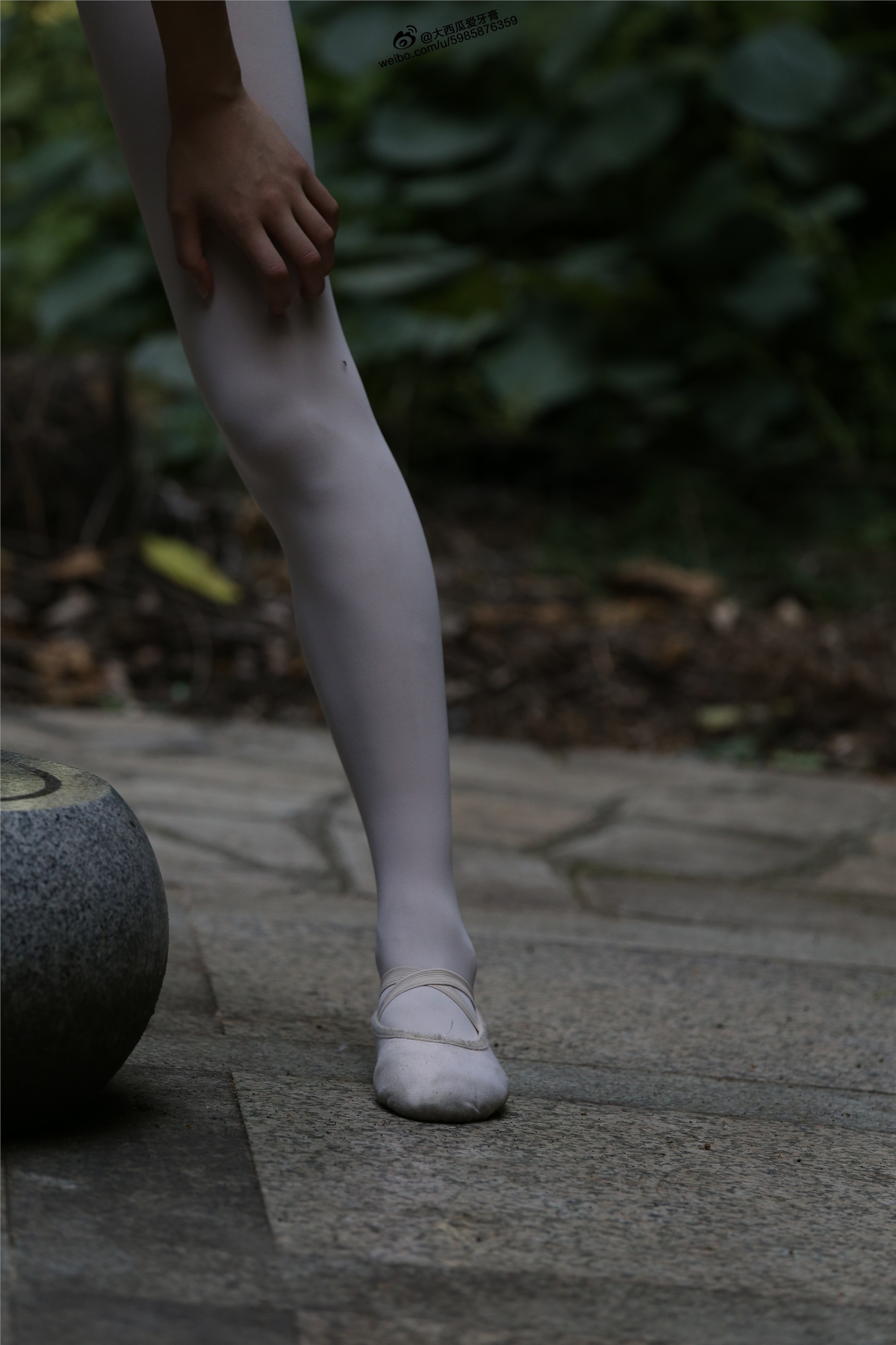 大西瓜美女图片 W011 舞蹈家2-身材极好32