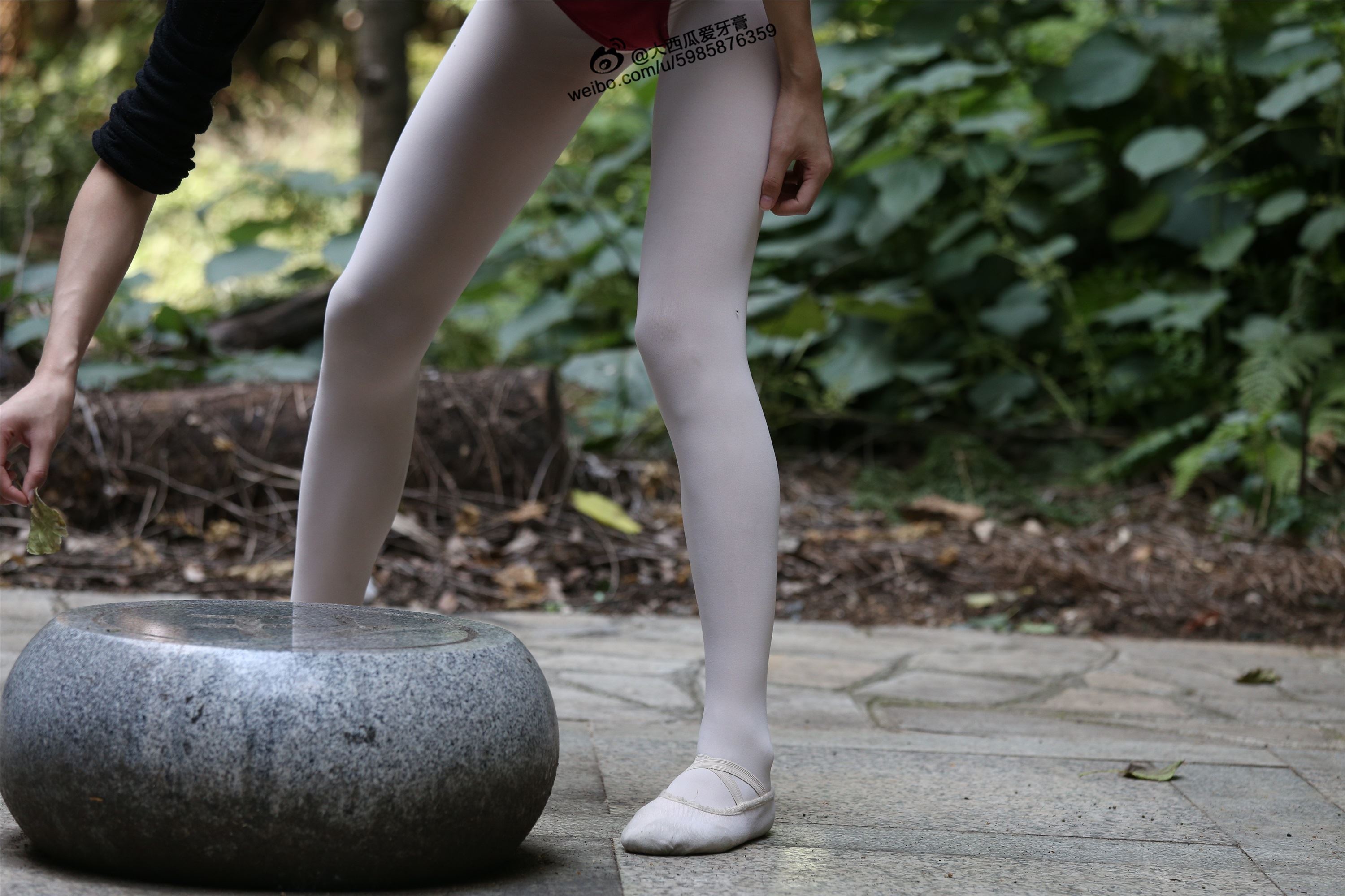 大西瓜美女图片 W011 舞蹈家2-身材极好32