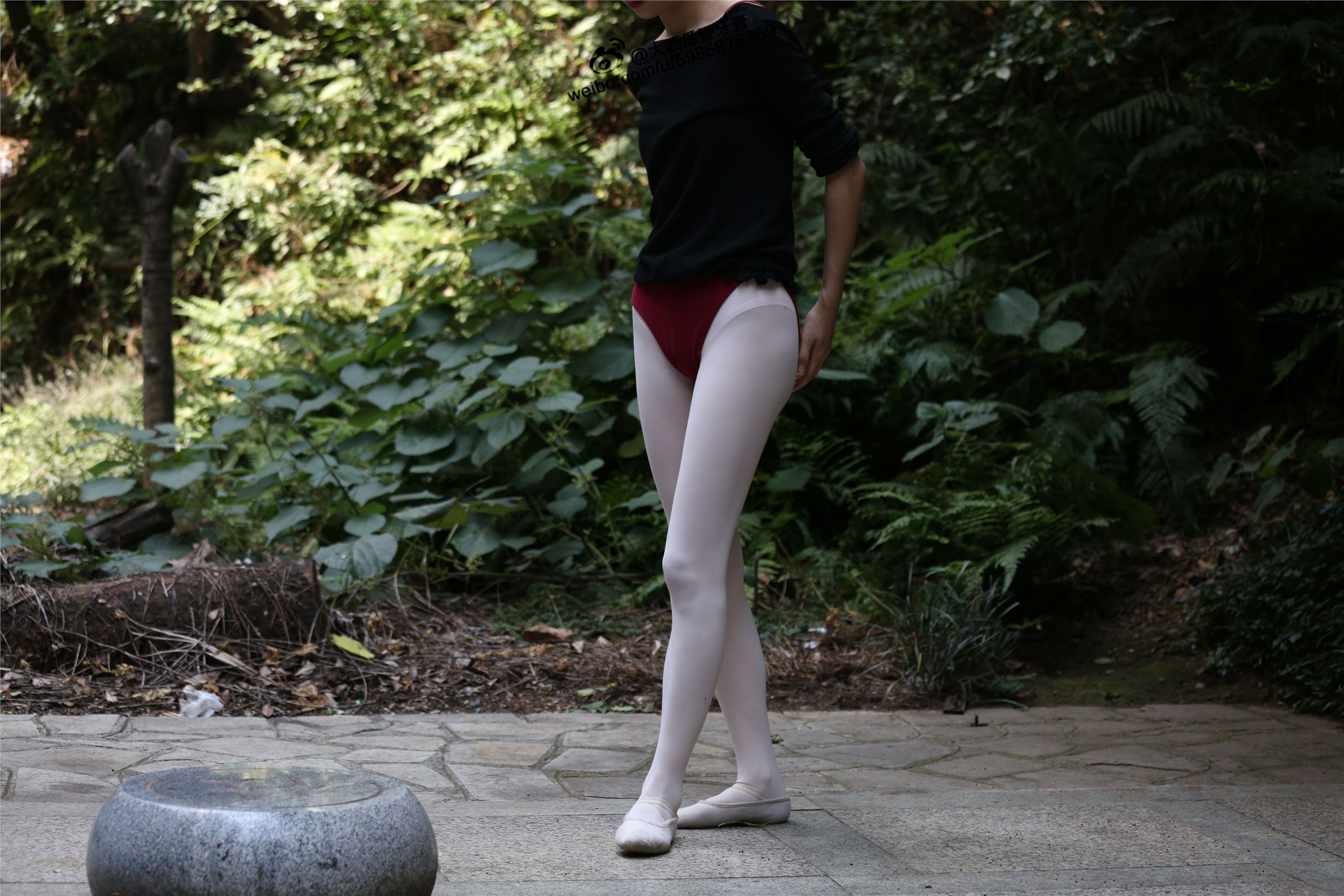 大西瓜美女图片 W011 舞蹈家2-身材极好32