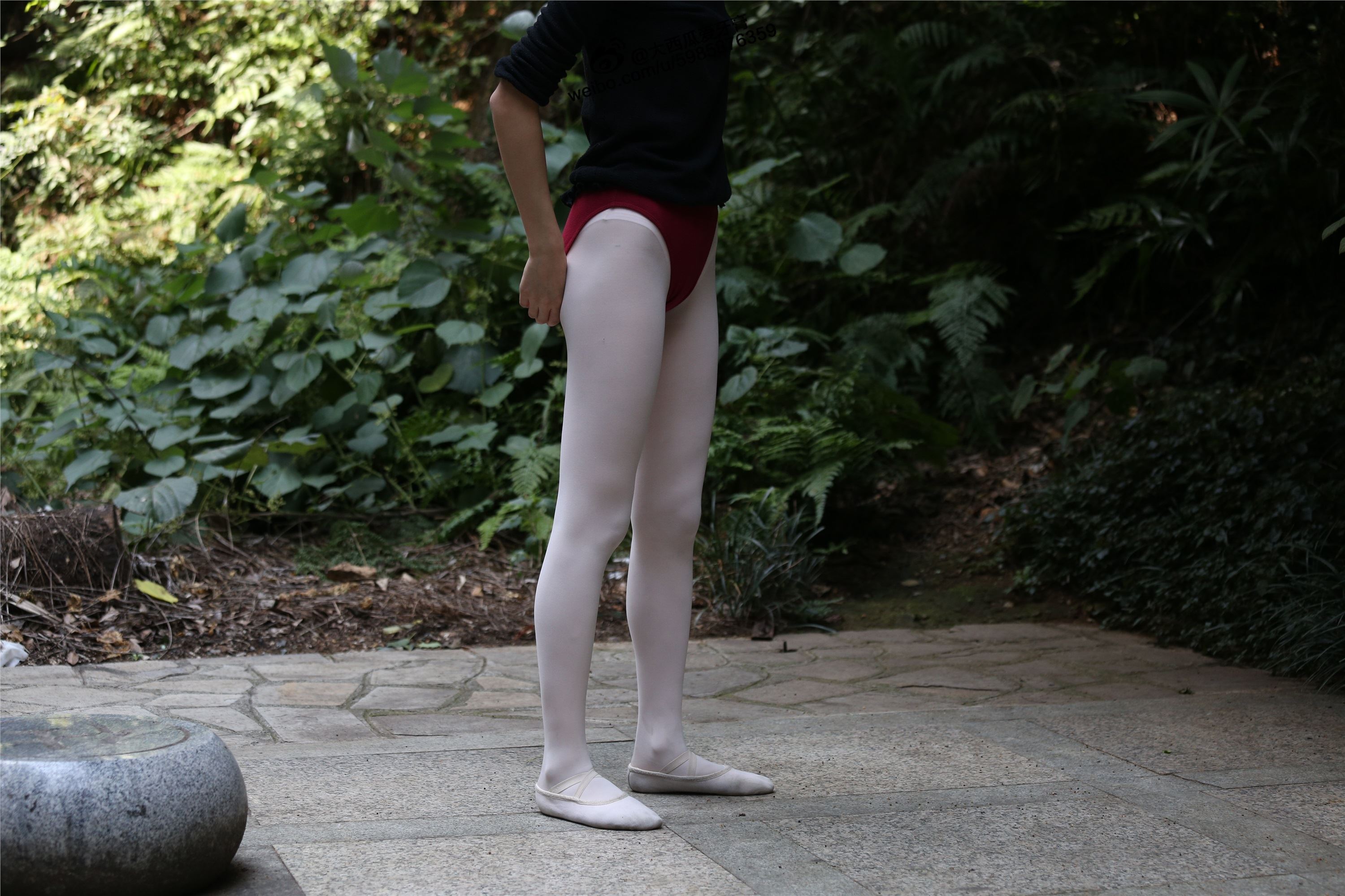 大西瓜美女图片 W011 舞蹈家2-身材极好32