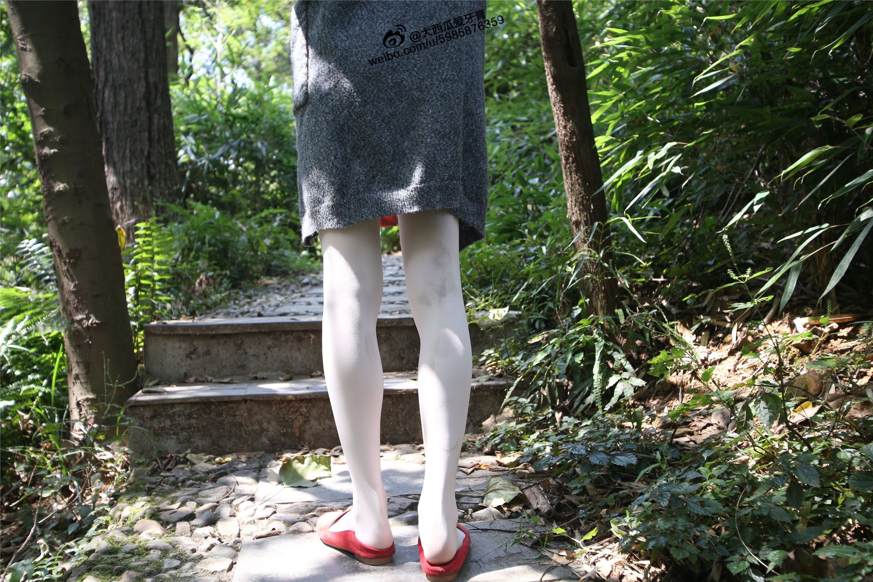 大西瓜美女图片 W011 舞蹈家2-身材极好32