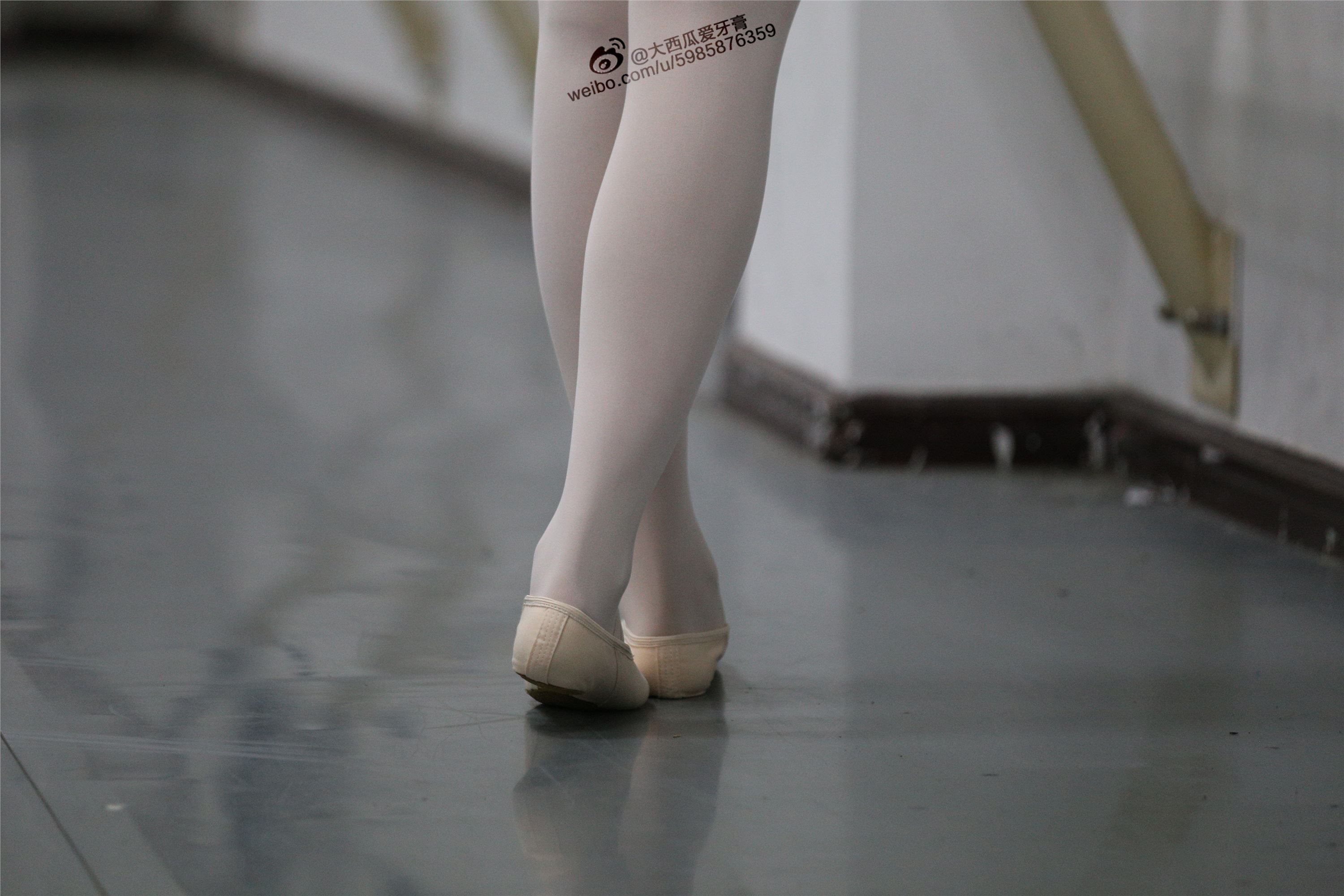 大西瓜美女图片 W012 舞蹈家3-紫色247p1