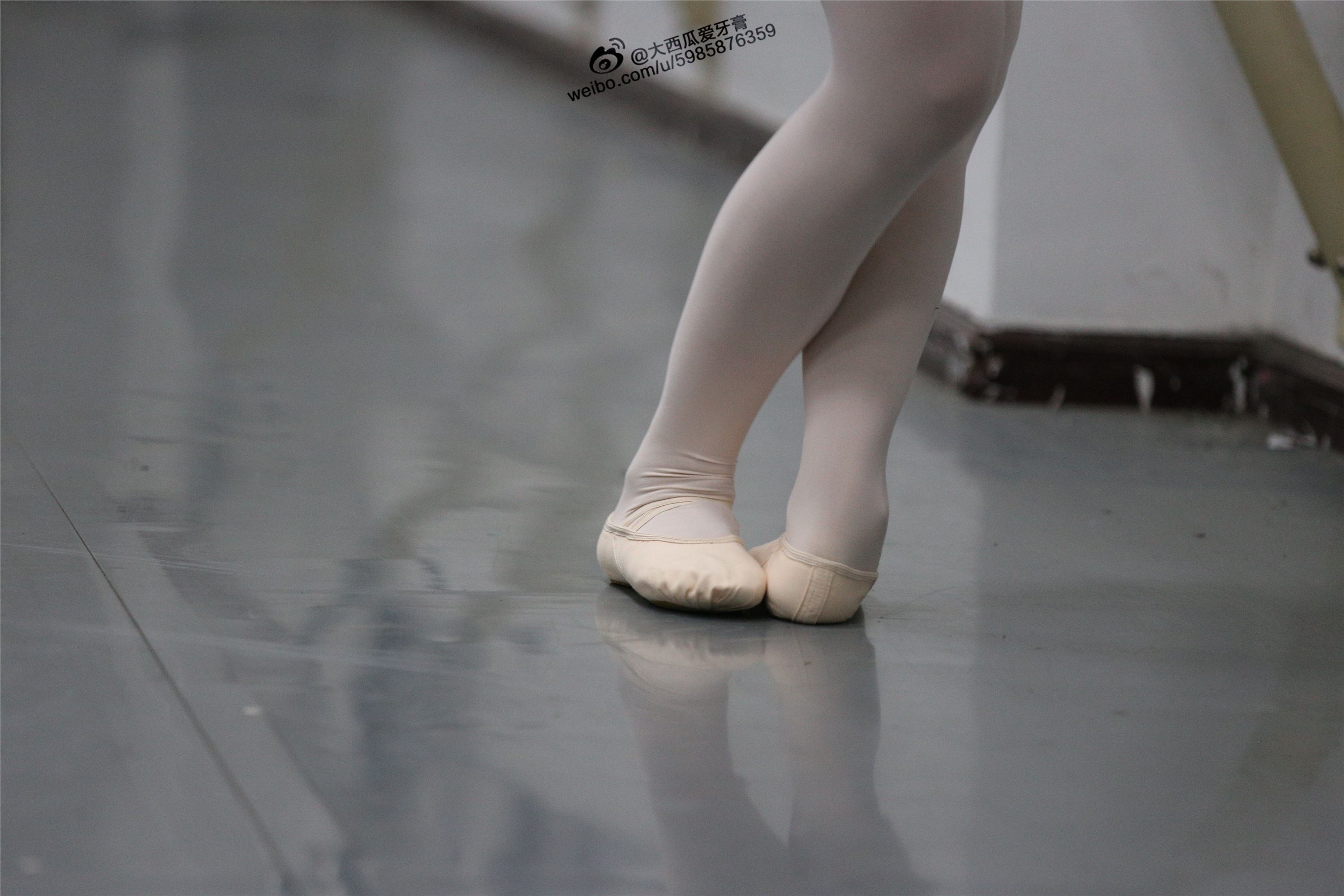 大西瓜美女图片 W012 舞蹈家3-紫色247p1