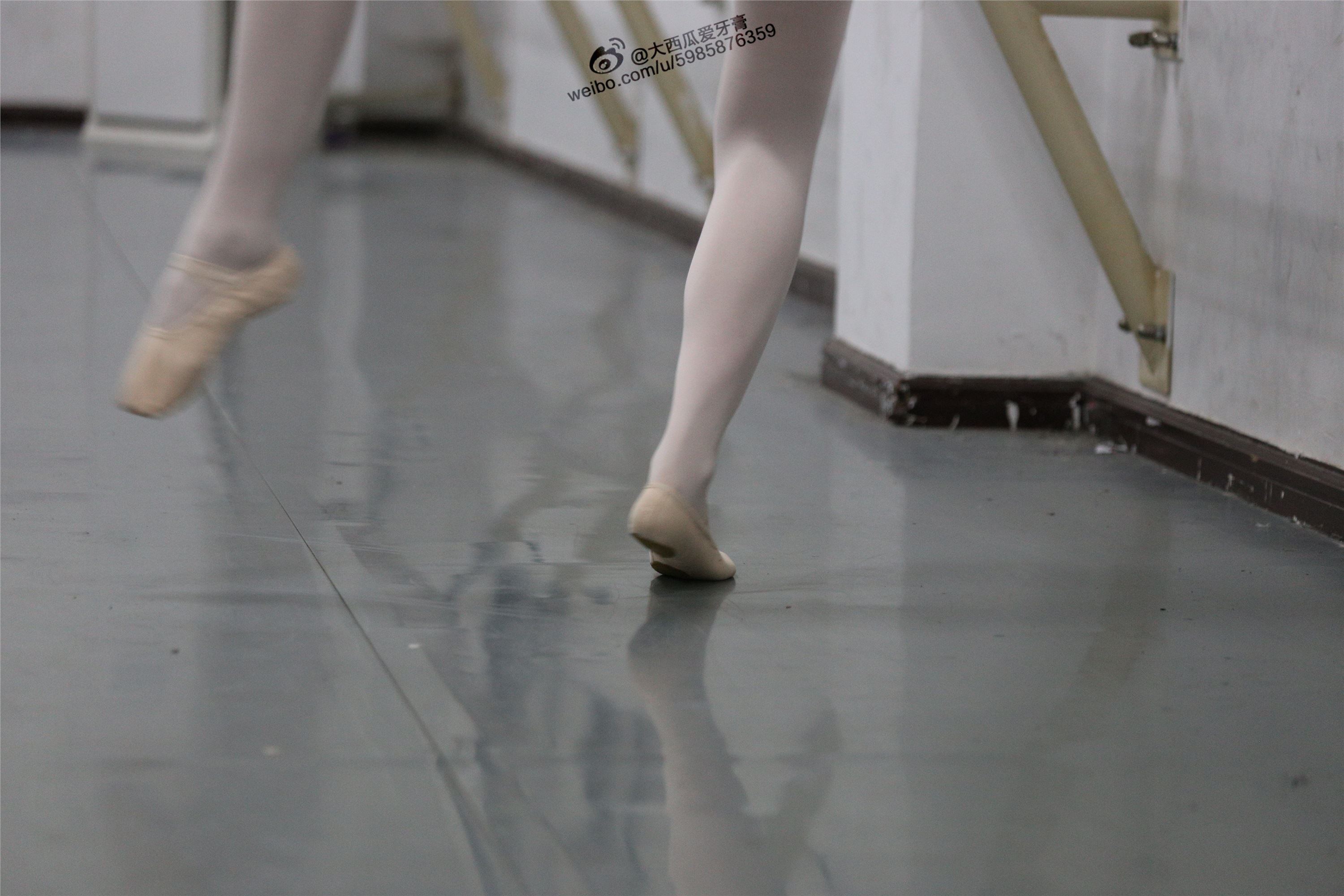 大西瓜美女图片 W012 舞蹈家3-紫色247p1