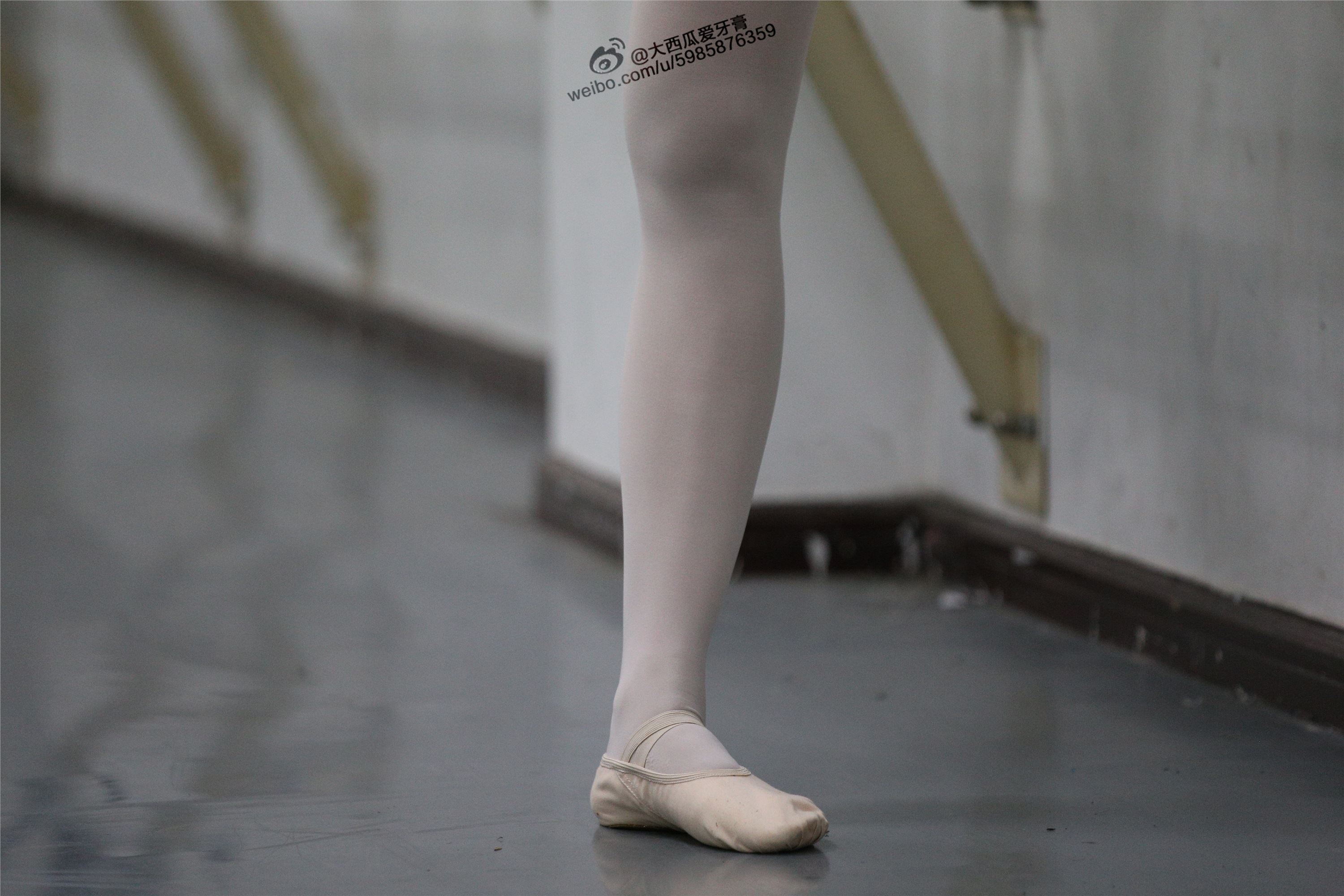 大西瓜美女图片 W012 舞蹈家3-紫色247p1