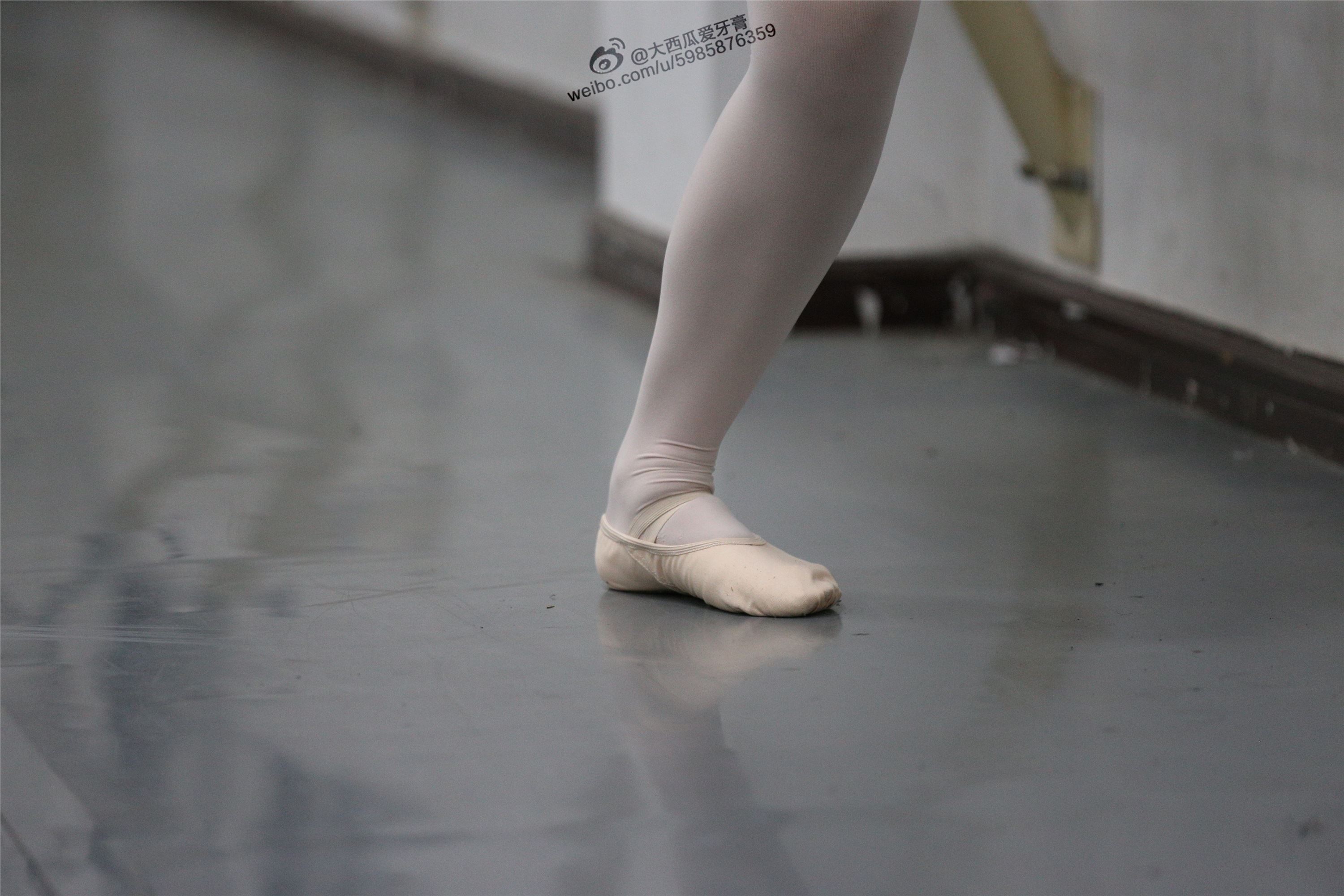 大西瓜美女图片 W012 舞蹈家3-紫色247p1