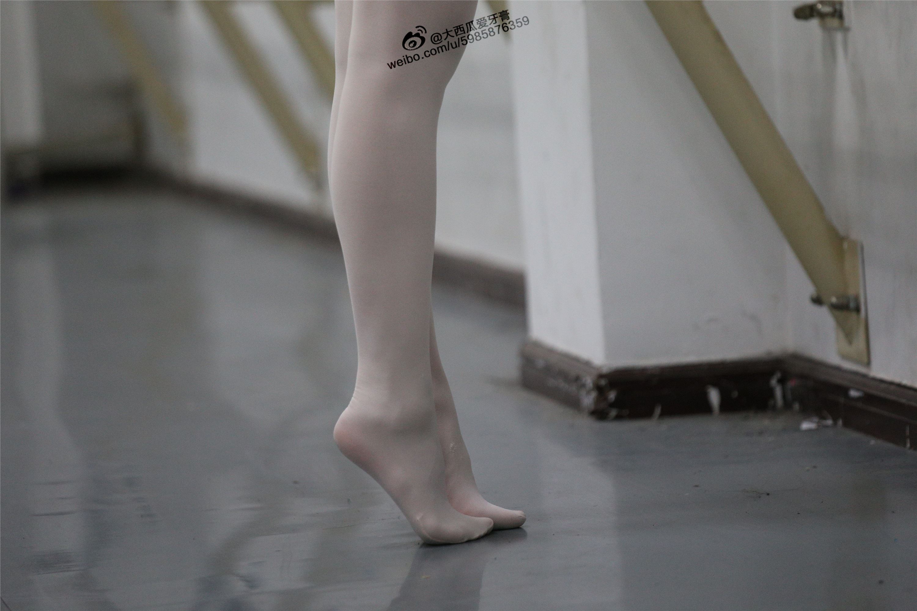 大西瓜美女图片 W012 舞蹈家3-紫色247p1