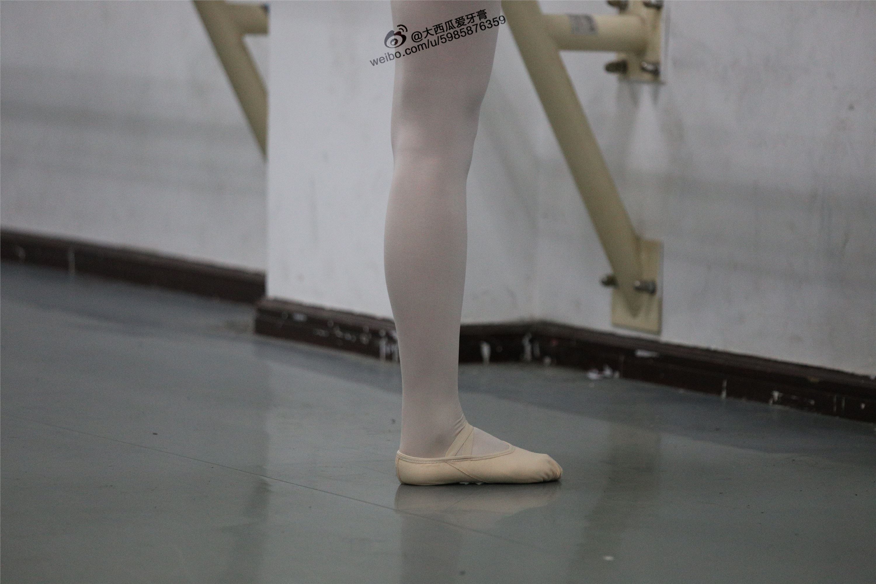 大西瓜美女图片 W012 舞蹈家3-紫色247p2