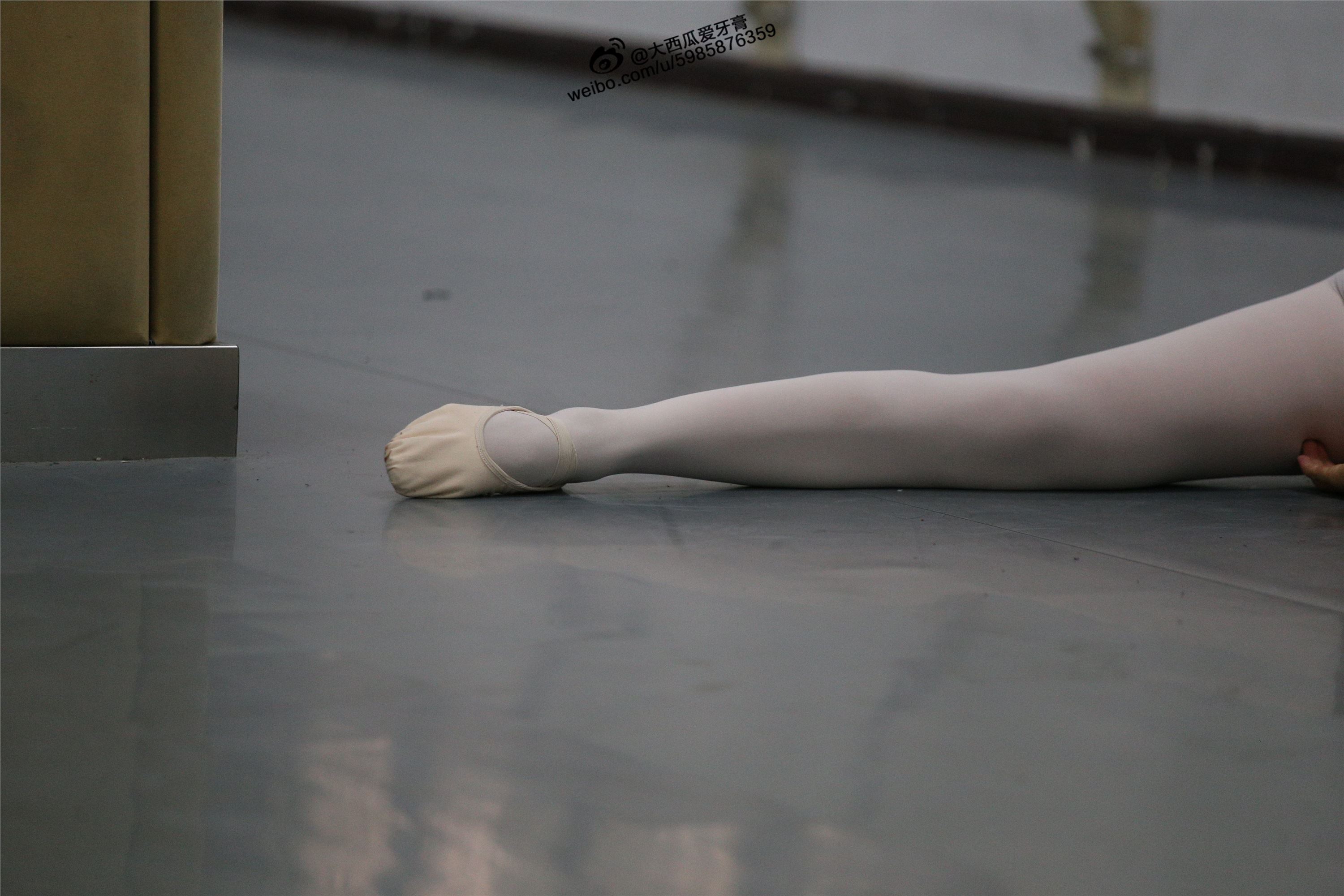 大西瓜美女图片 W012 舞蹈家3-紫色247p2