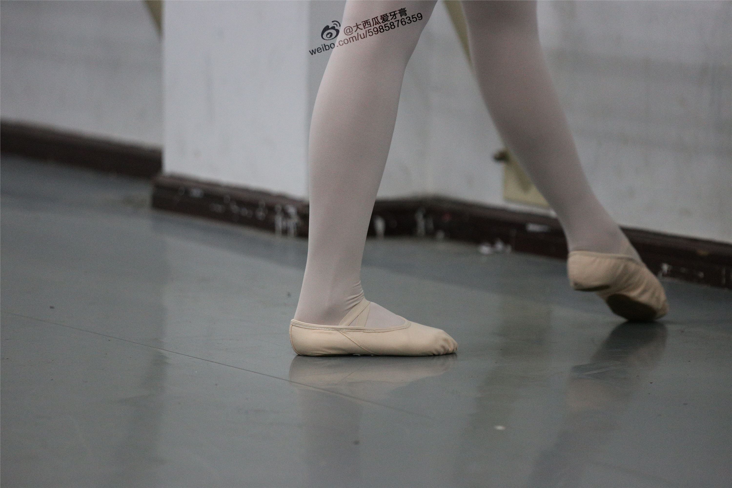 大西瓜美女图片 W012 舞蹈家3-紫色247p2