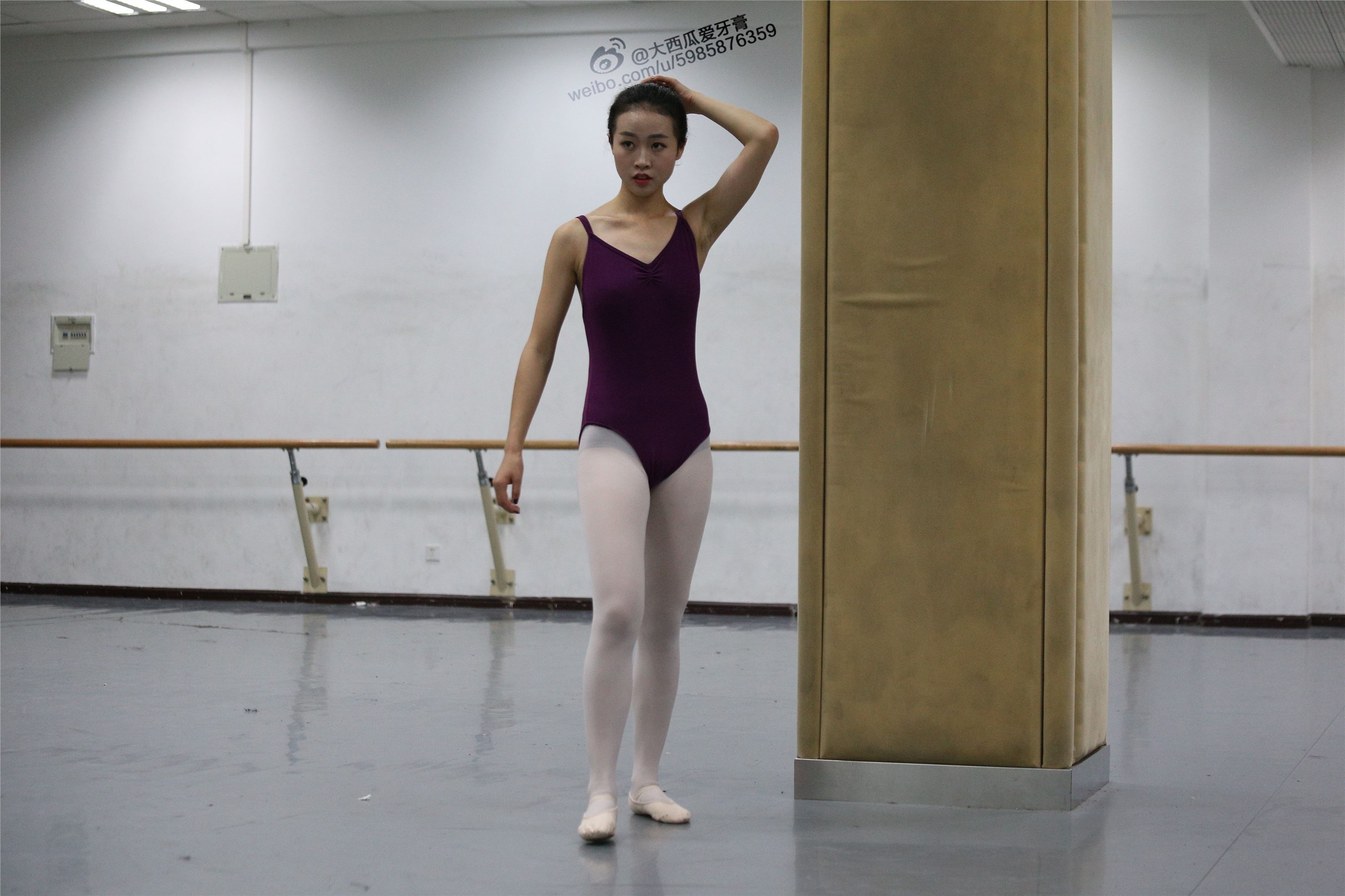 大西瓜美女图片 W012 舞蹈家3-紫色247p2