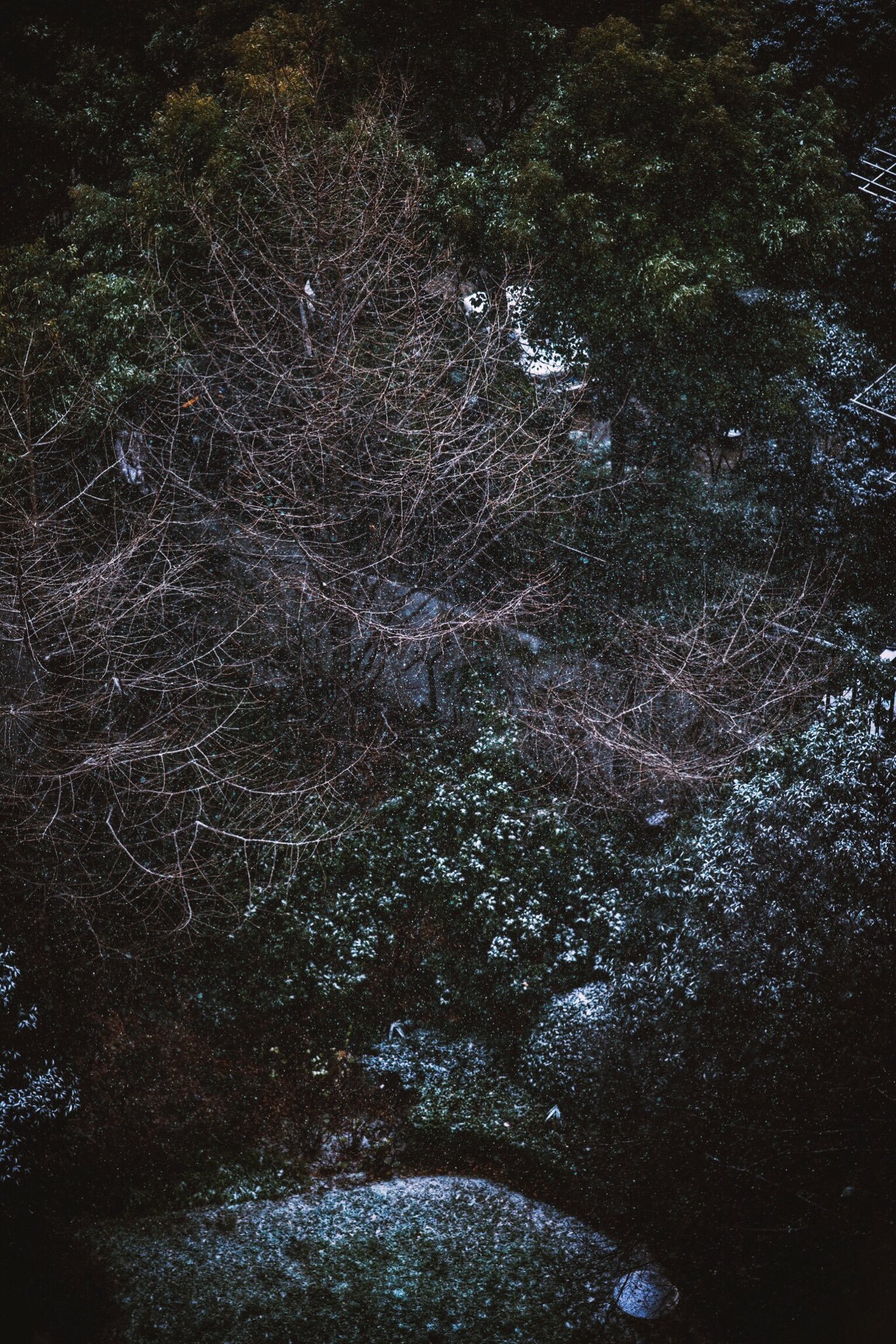 二次元妹子吧，可爱的 realyami-twitter6