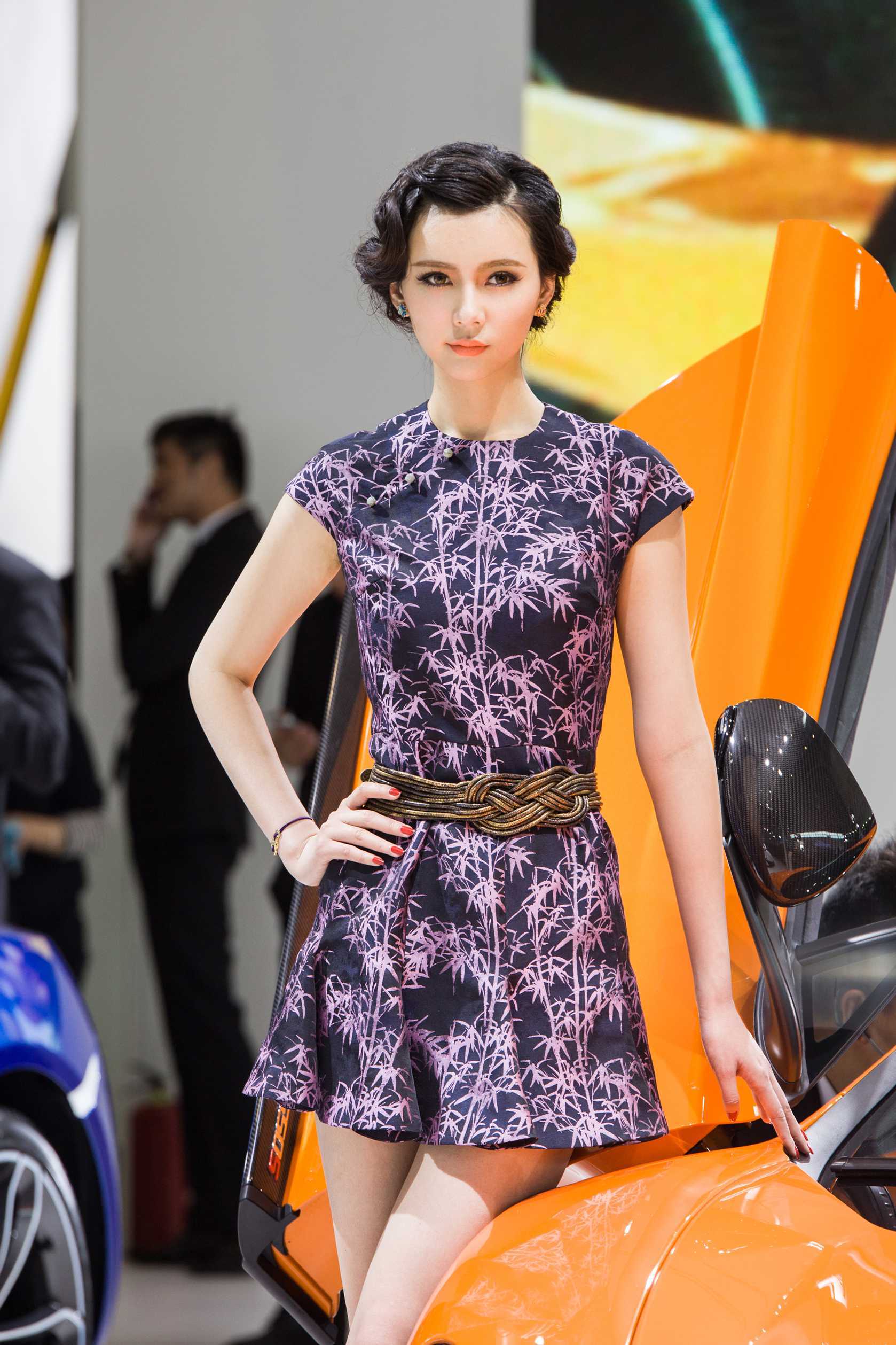 2014北京车展性感高挑车模精选套图