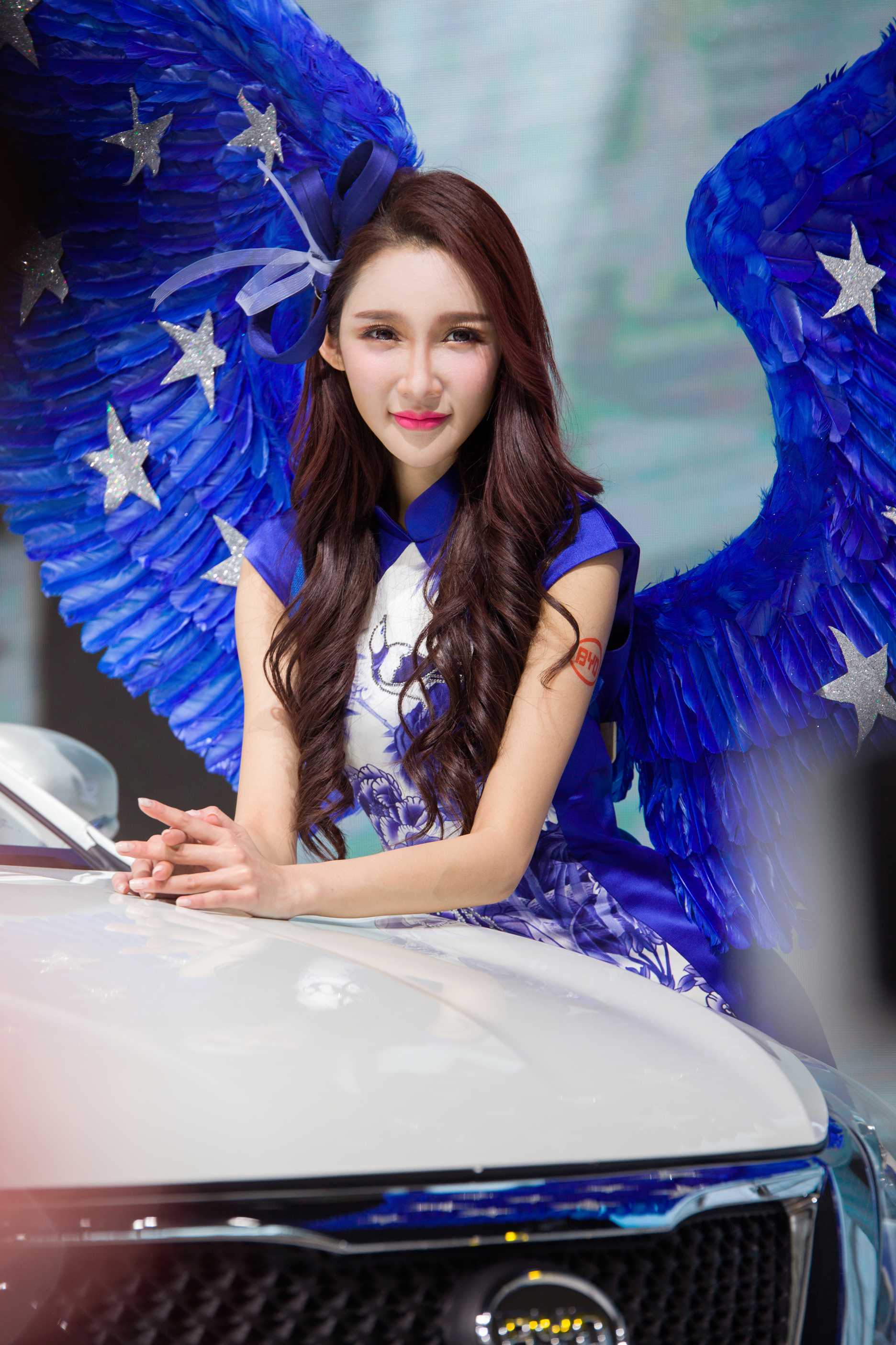 2014北京车展性感高挑车模精选套图