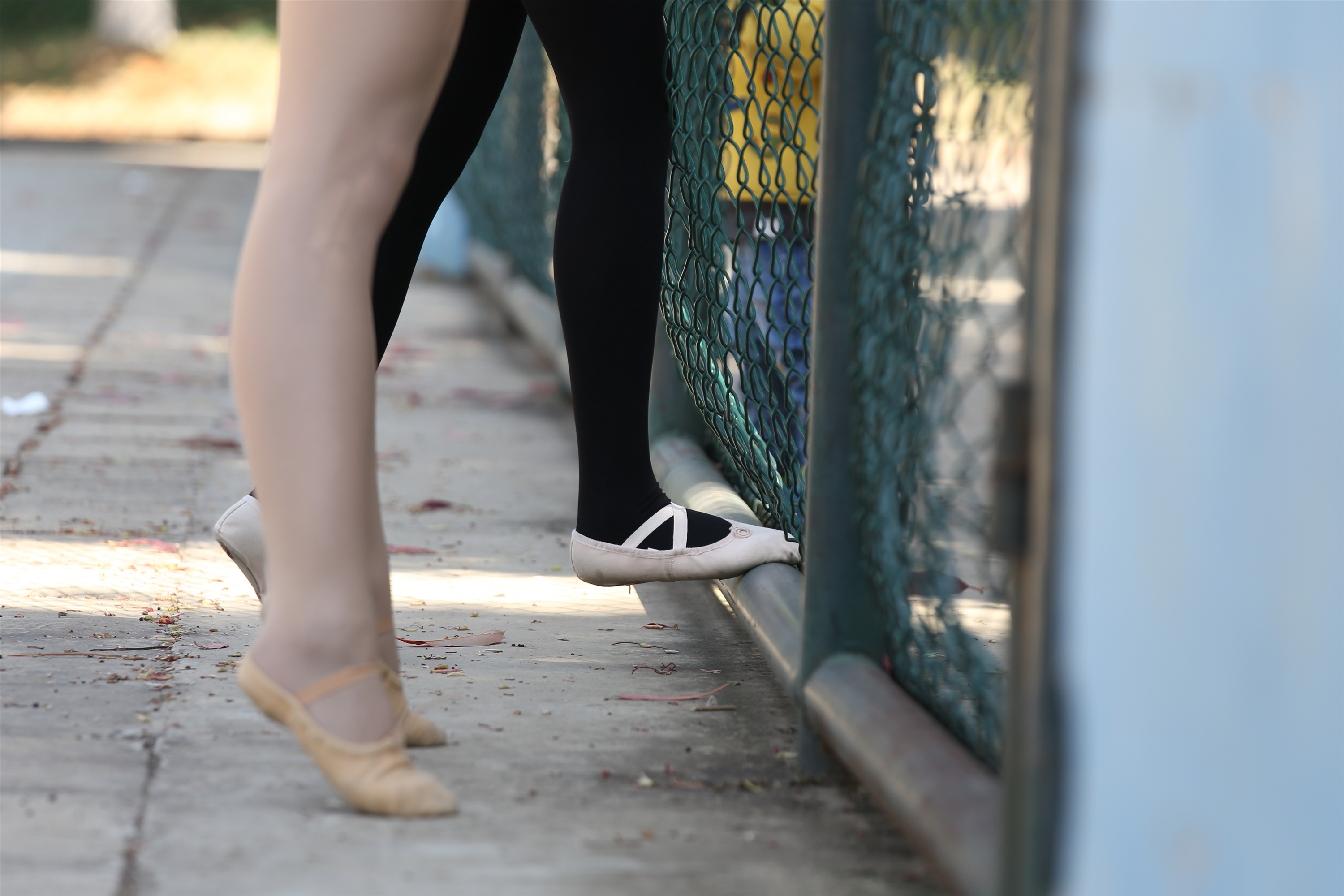 大西瓜美女图片 W014 舞蹈家5-操场双淑12