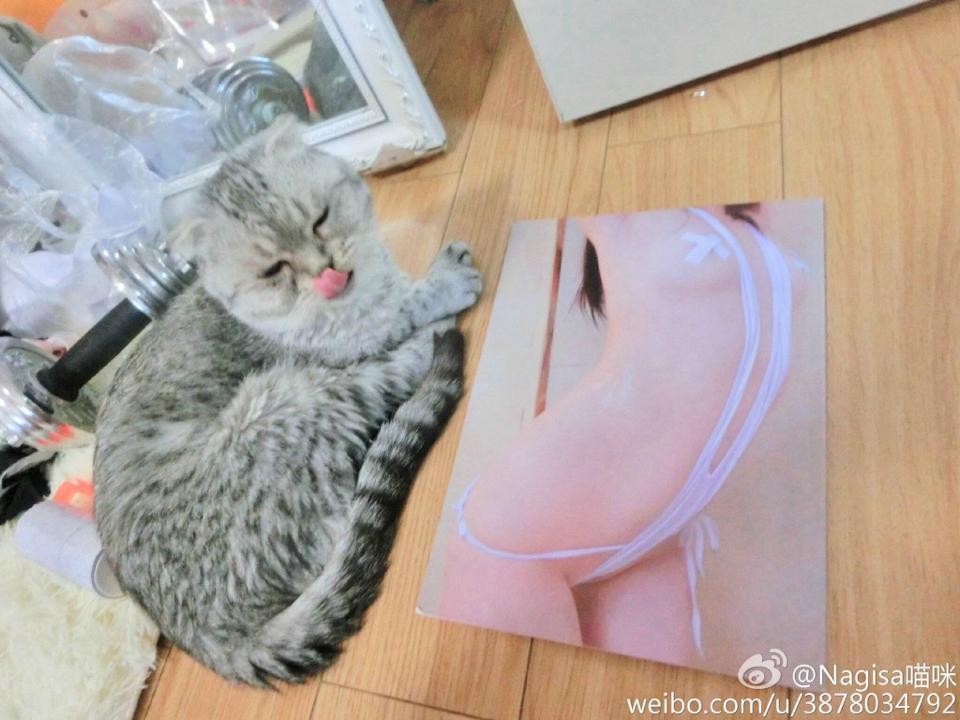 MW喵Nagesa魔物喵 微博杂图21