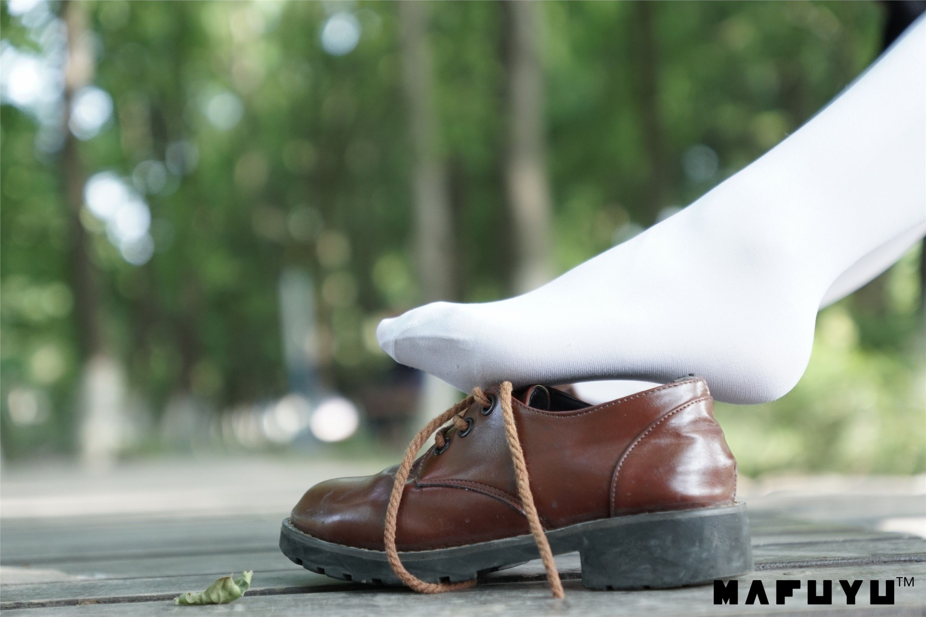 神楽坂真冬套图 - 少女と自然と白い靴下