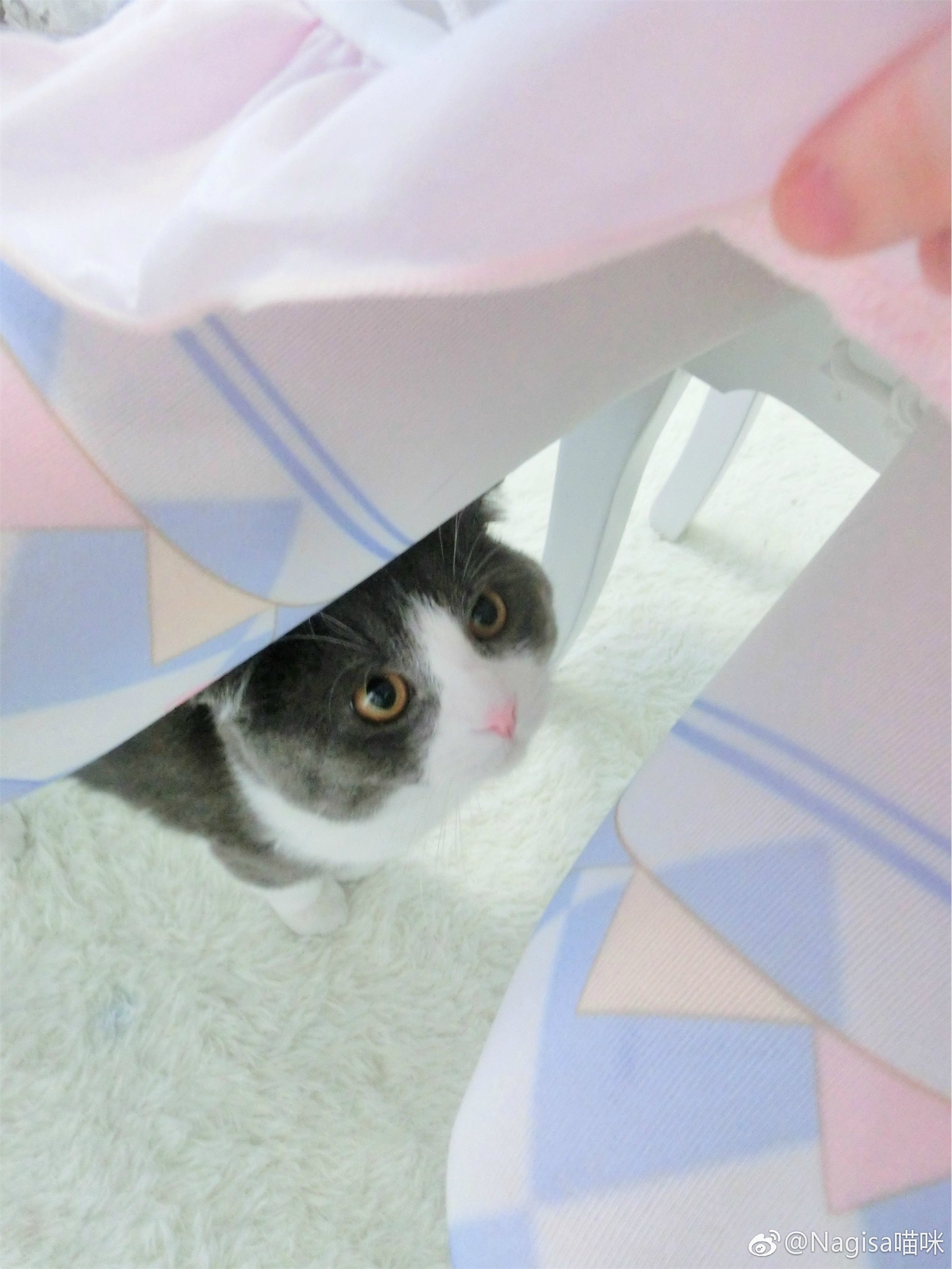 Nagesa魔物喵 - 微博杂图32