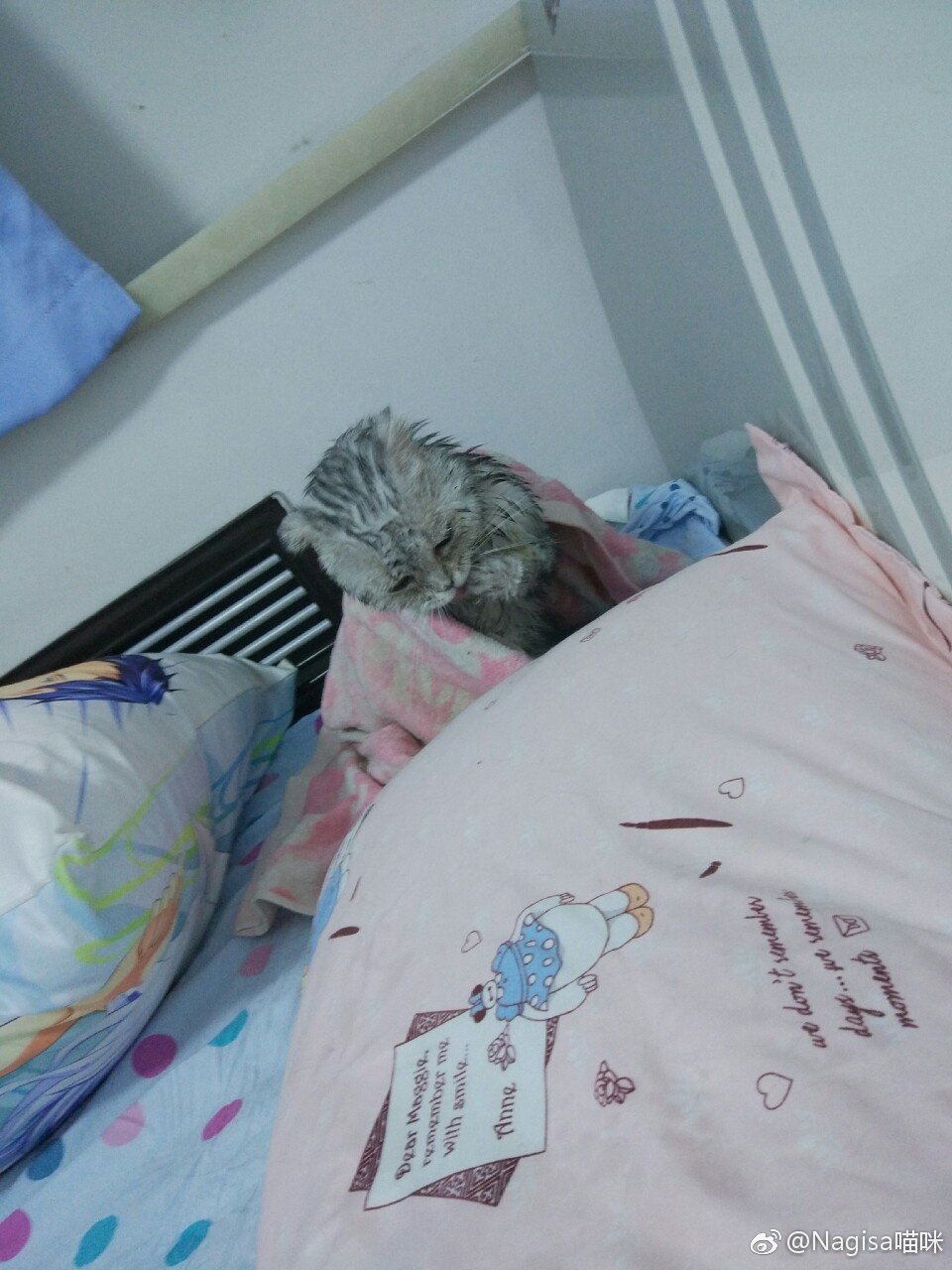 Nagesa魔物喵 - 微博杂图32