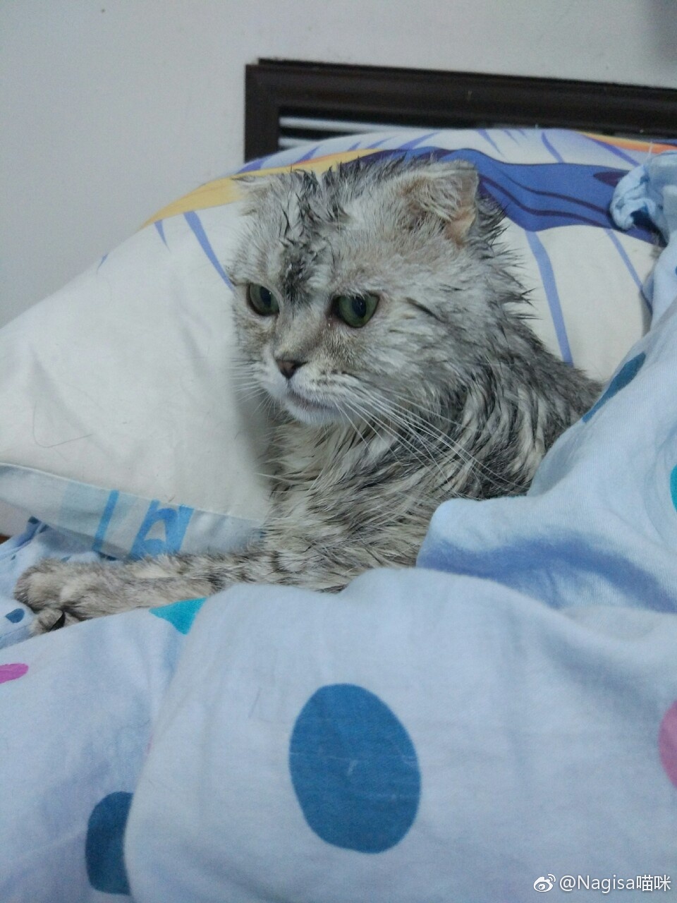Nagesa魔物喵 - 微博杂图32