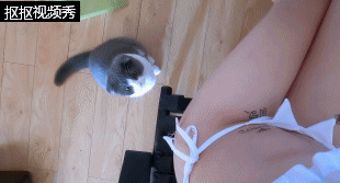 Nagesa魔物喵 - 微博杂图33