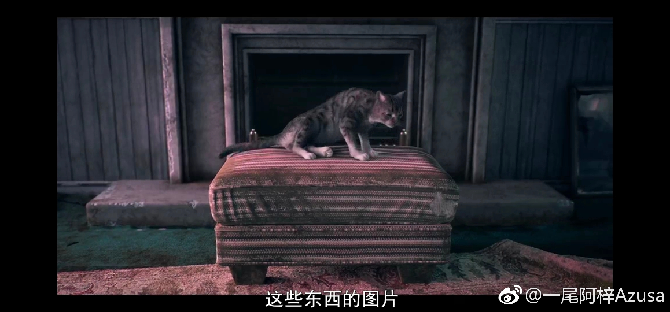 一尾阿梓Azusa 微博杂图1