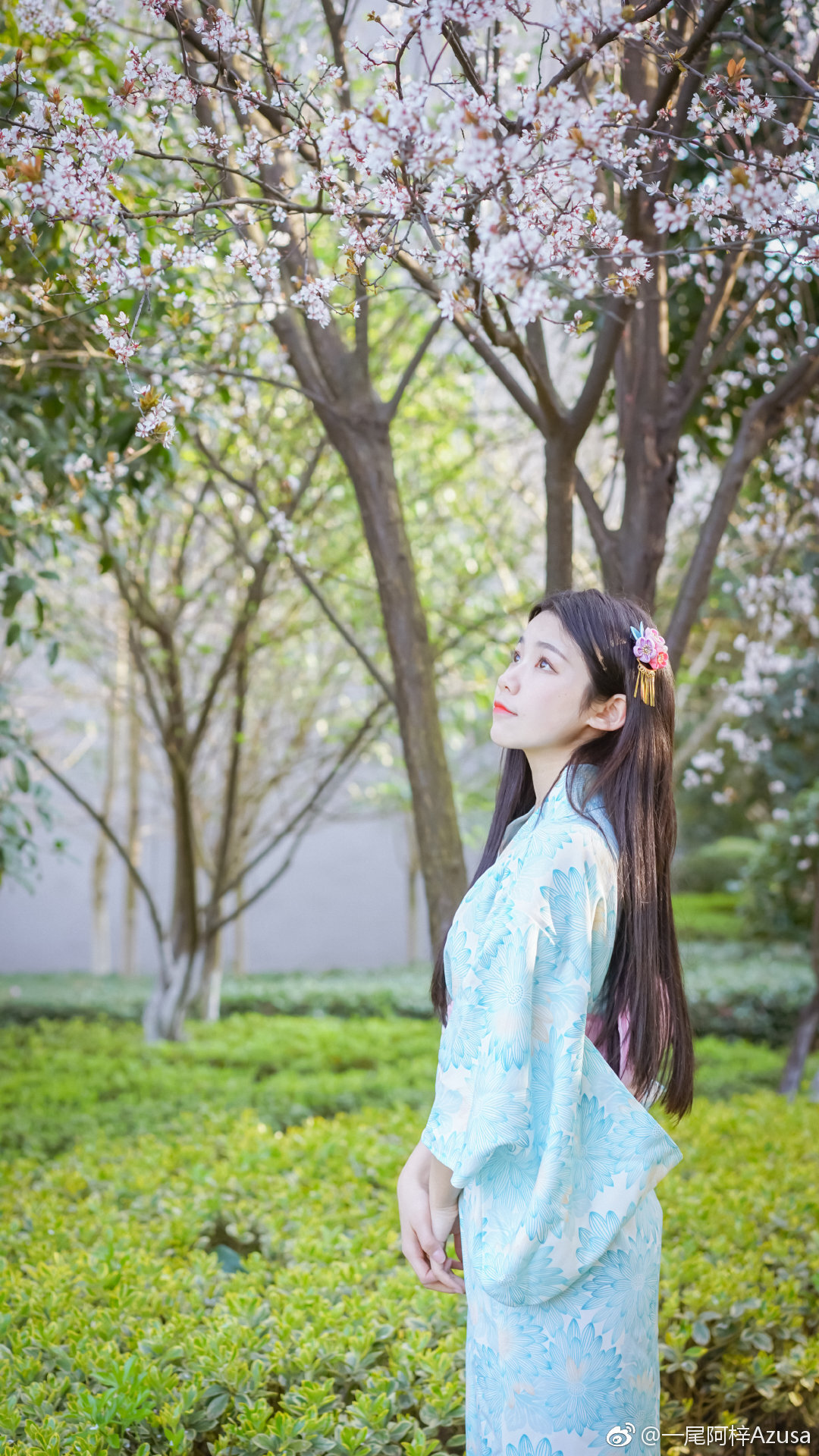 一尾阿梓Azusa 微博杂图1