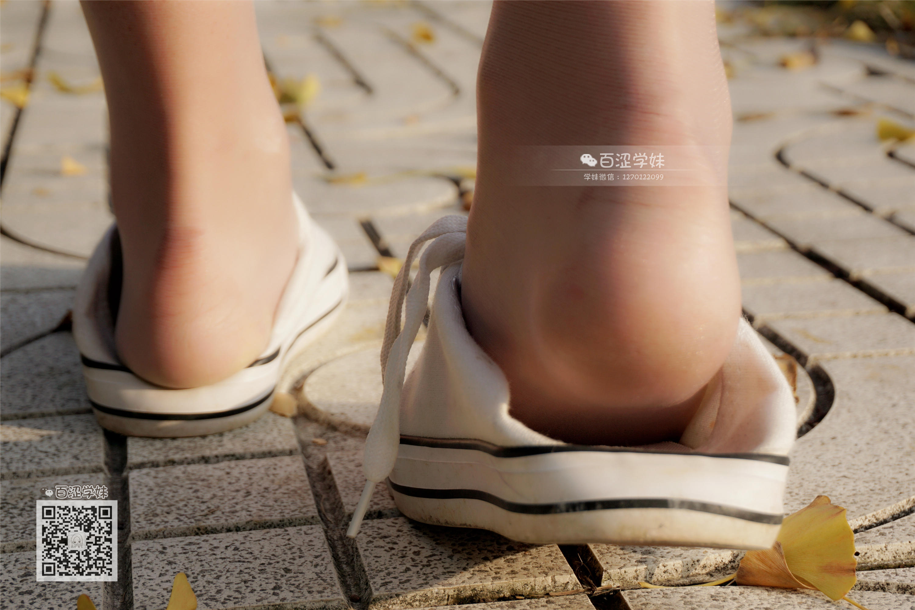 妖精视觉  糖糖 光晕散落的丝袜