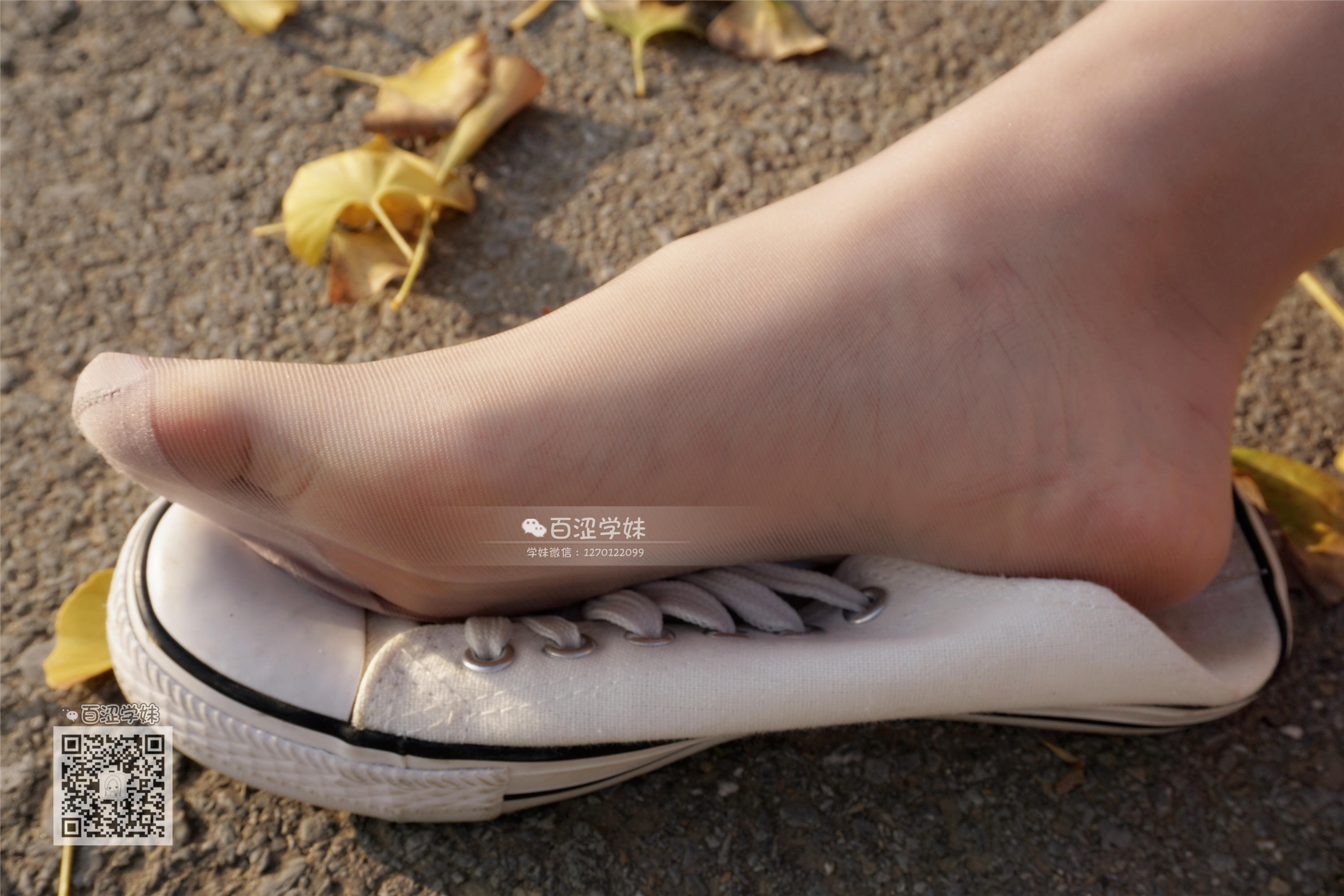 妖精视觉  糖糖 光晕散落的丝袜