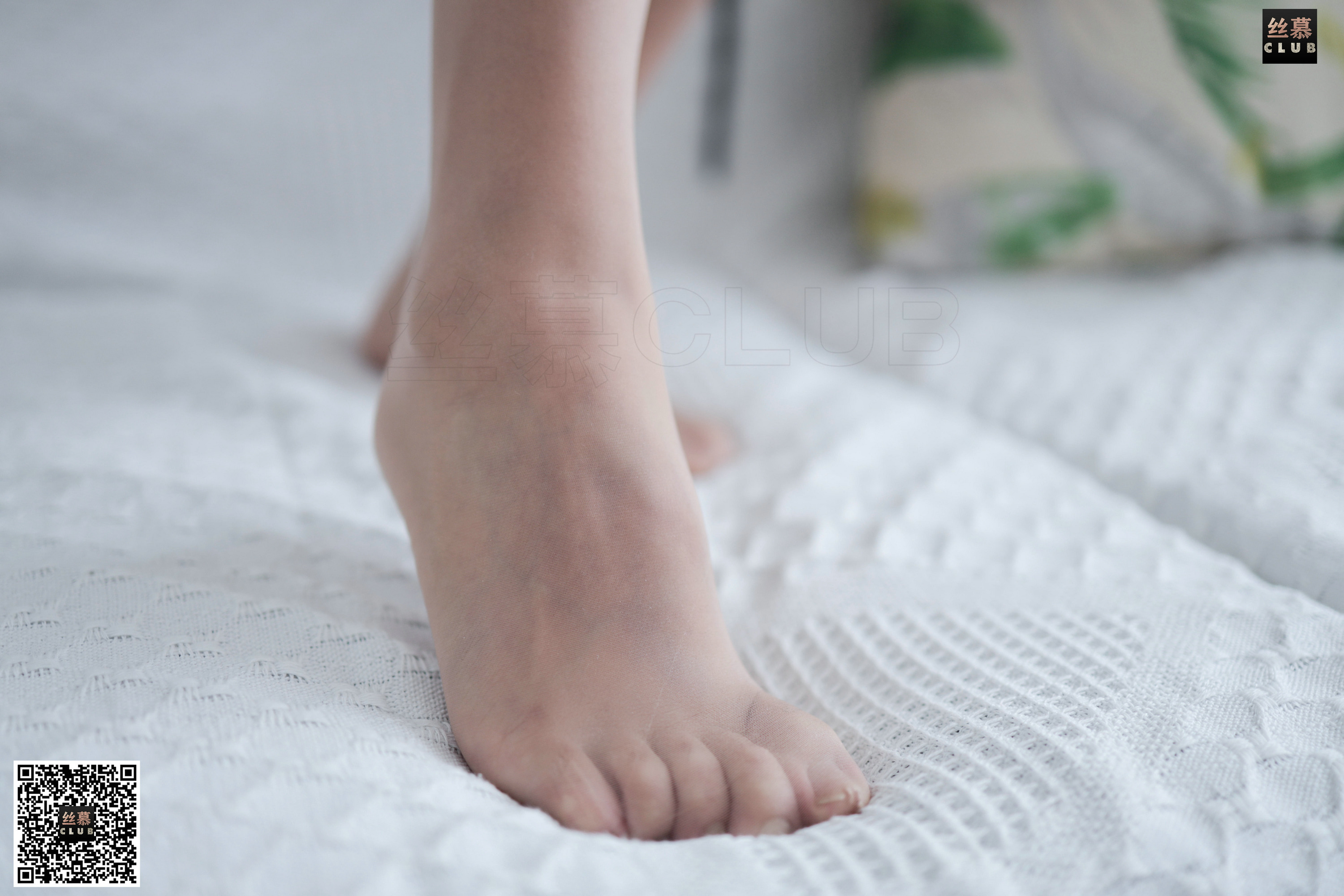 丝慕写真 樱花の梦辰