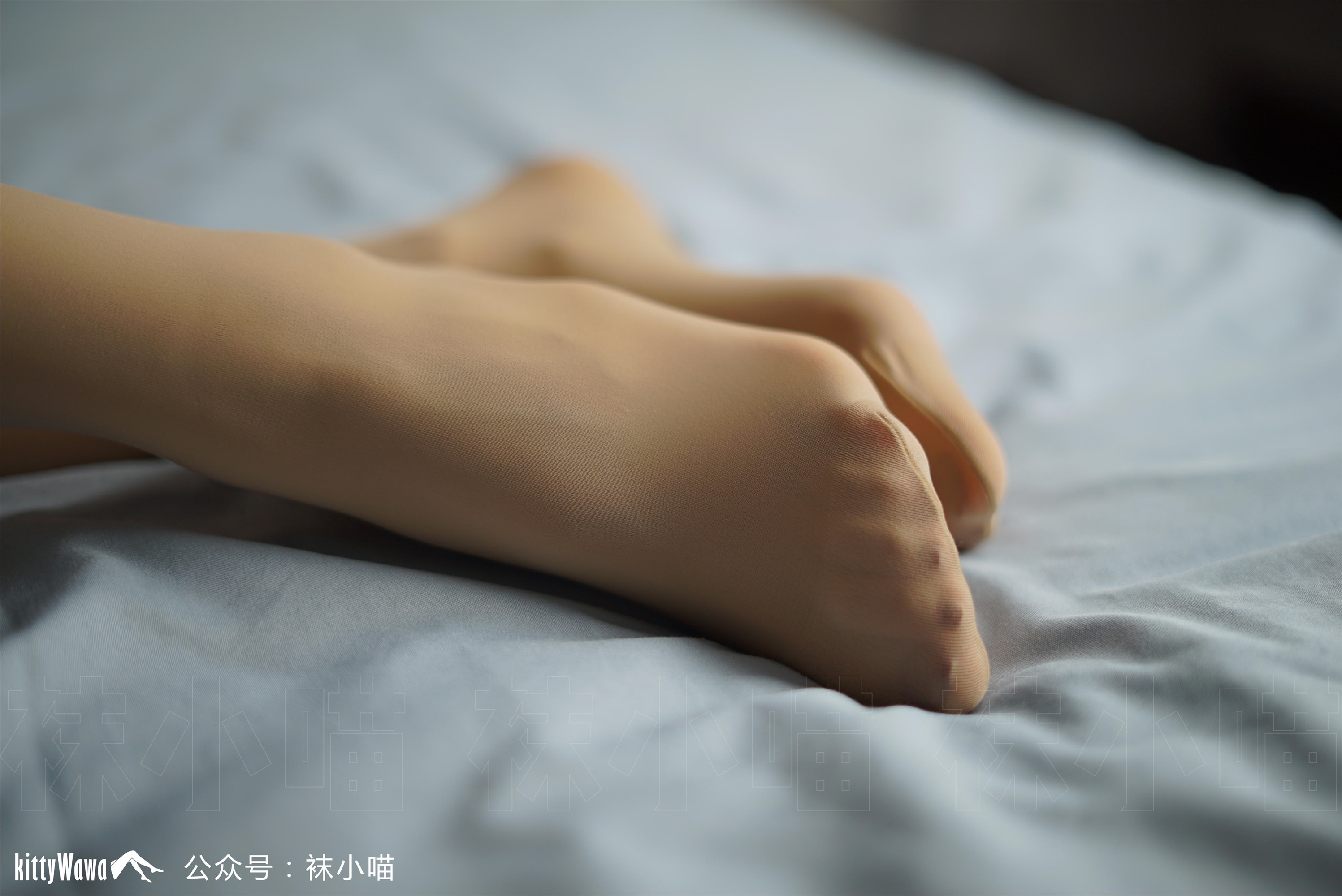 袜小喵  KT072《金色暖阳》